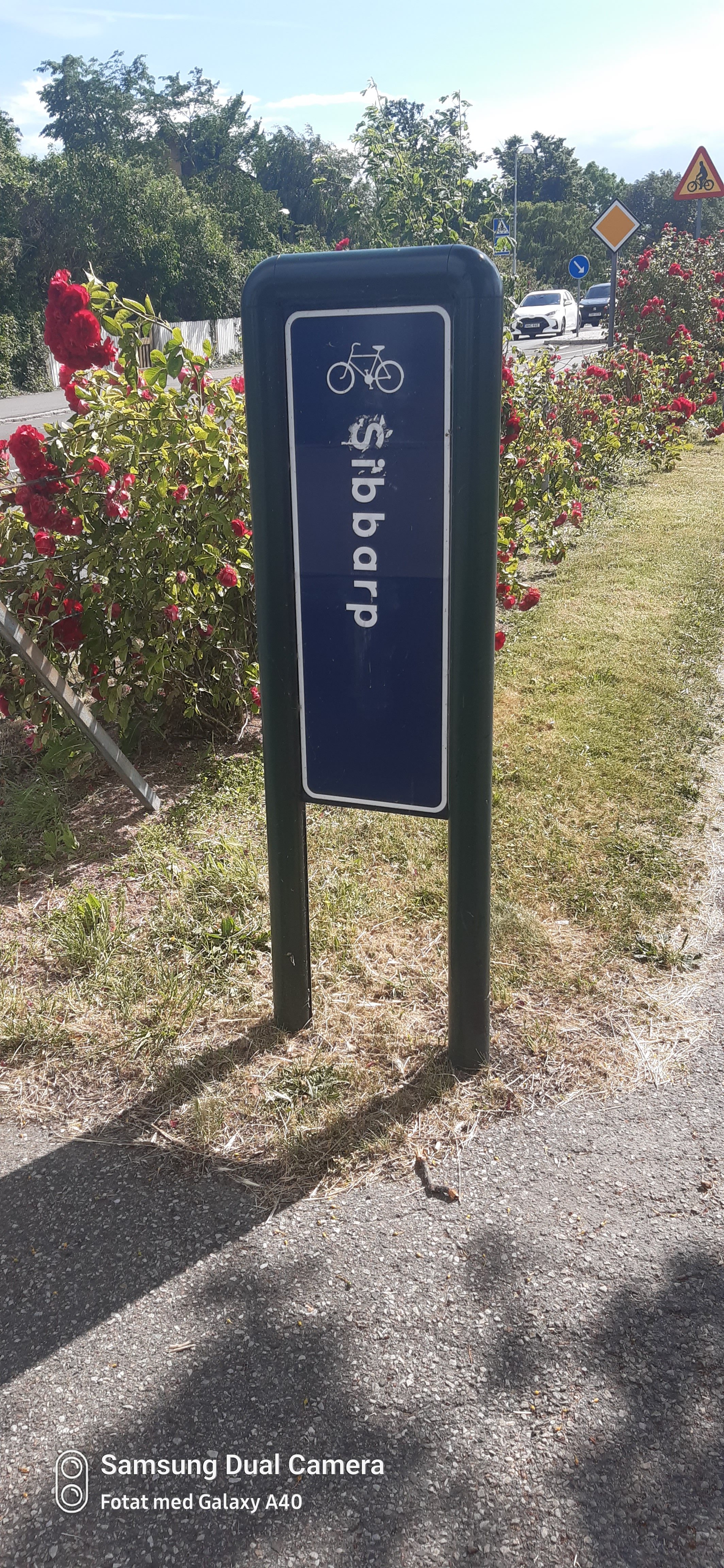 Limhamns Stationsväg, Limhamn — photo 3
