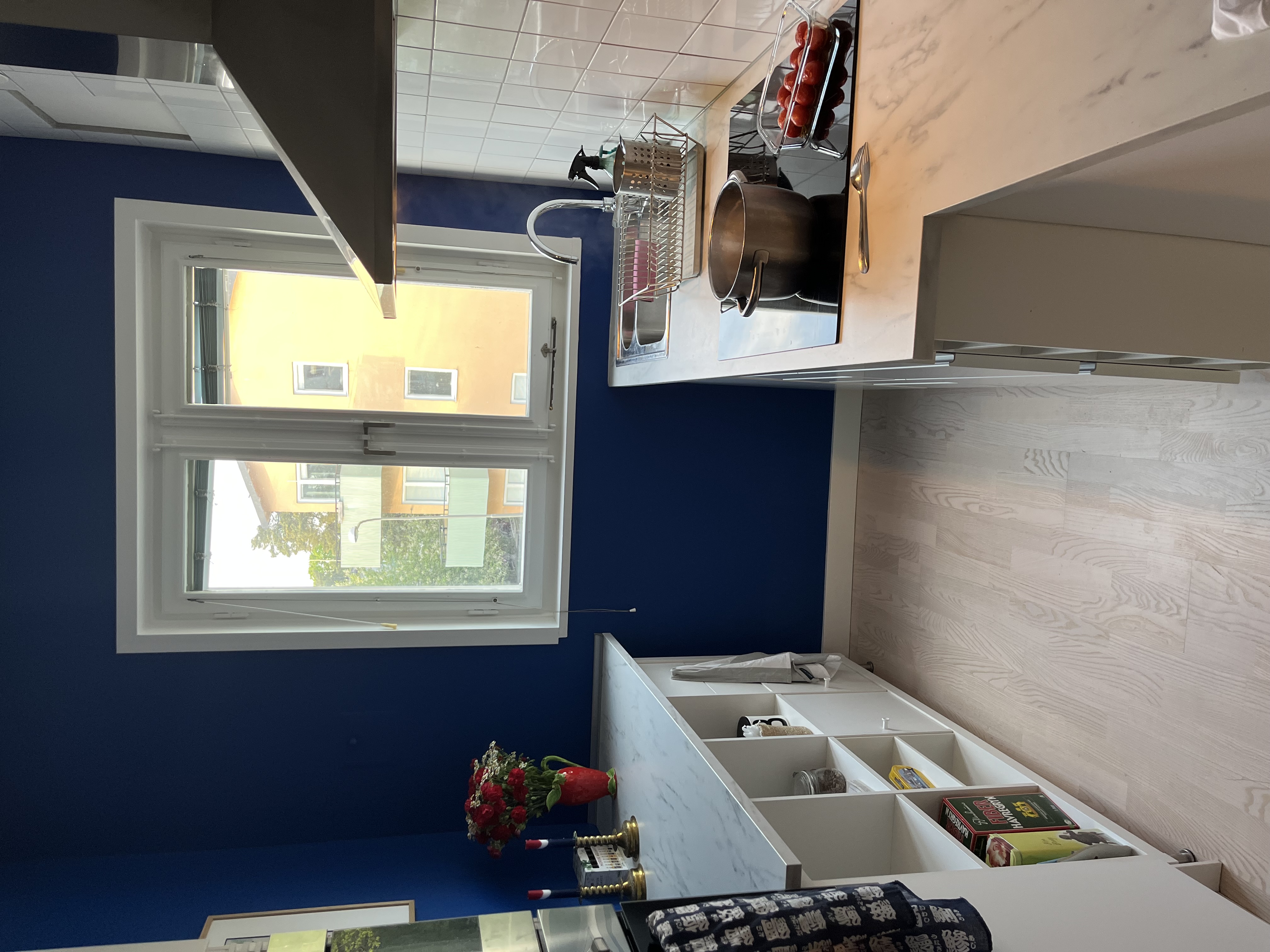 Olaus Magnus väg, Johanneshov — photo 2