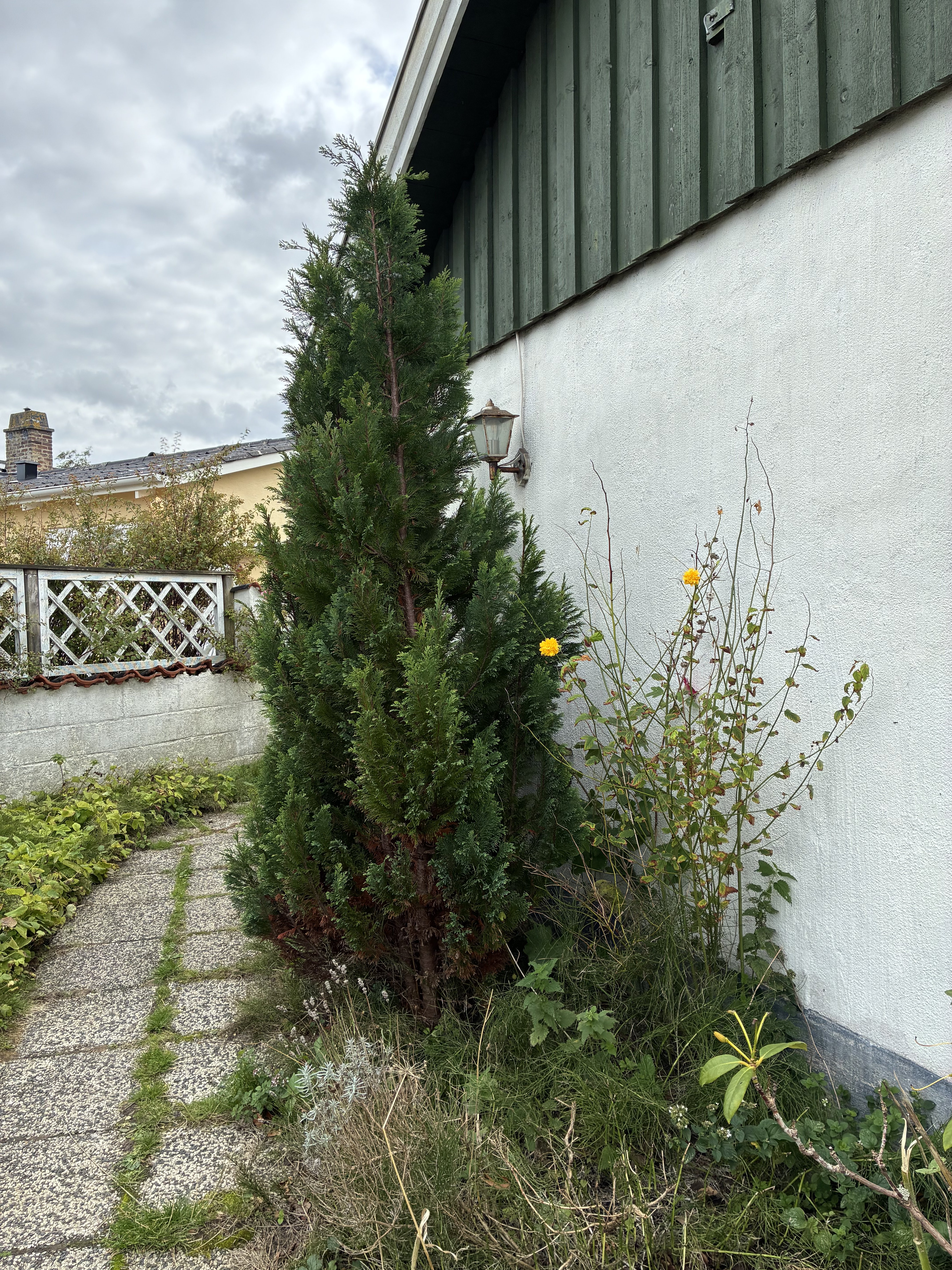 1 rok · 43 m² i Viken – bild 3
