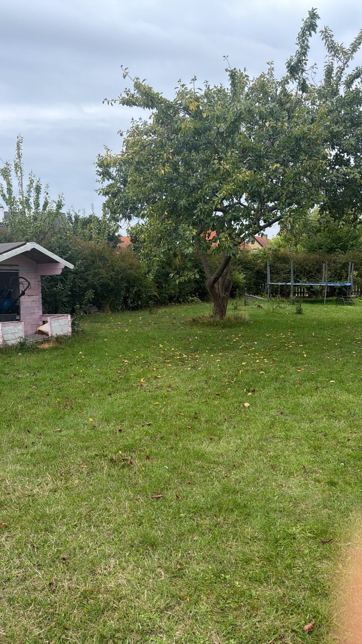 6 rok · 220 m² i Trelleborg – bild 2