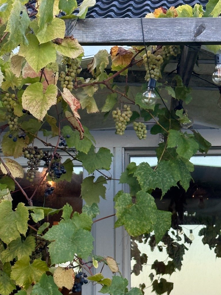 4 rok · 110 m² i Uddevalla – bild 15