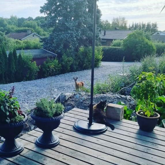 2 rok · 35 m² i Järfälla – bild 5