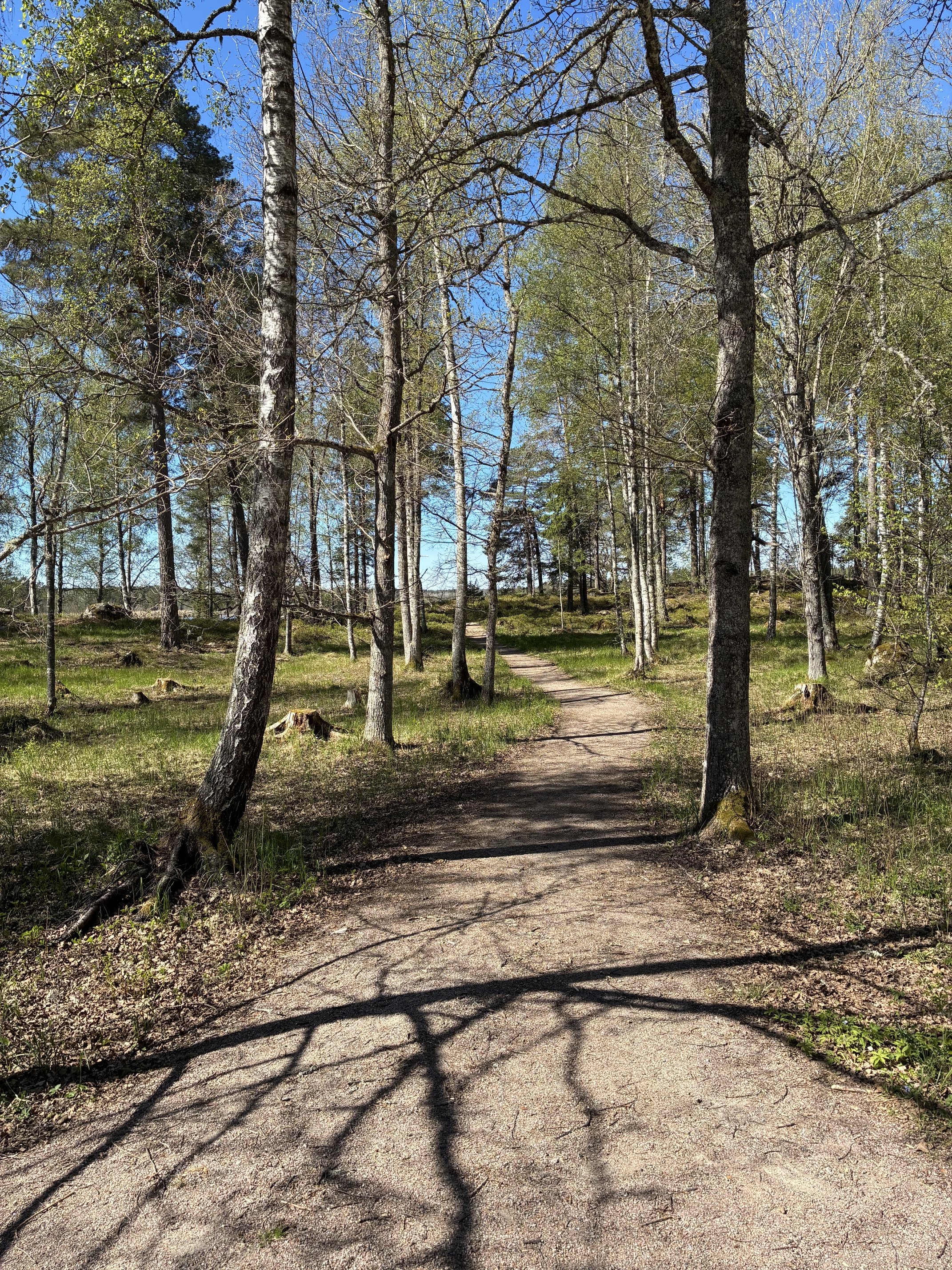 2 rok · 30 m² i Järlåsa – bild 6