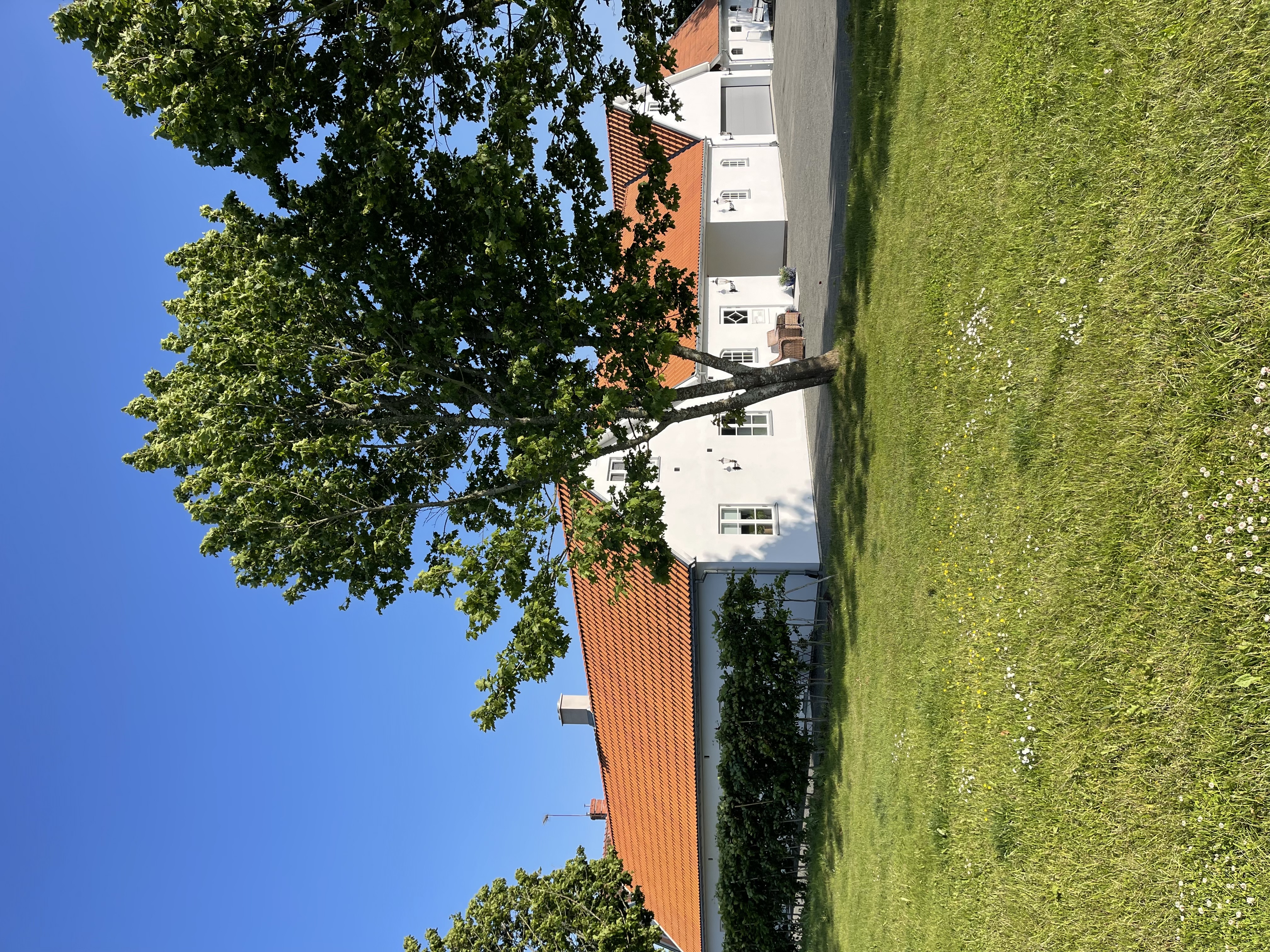 1 rok · 30 m² i Kivik – bild 2