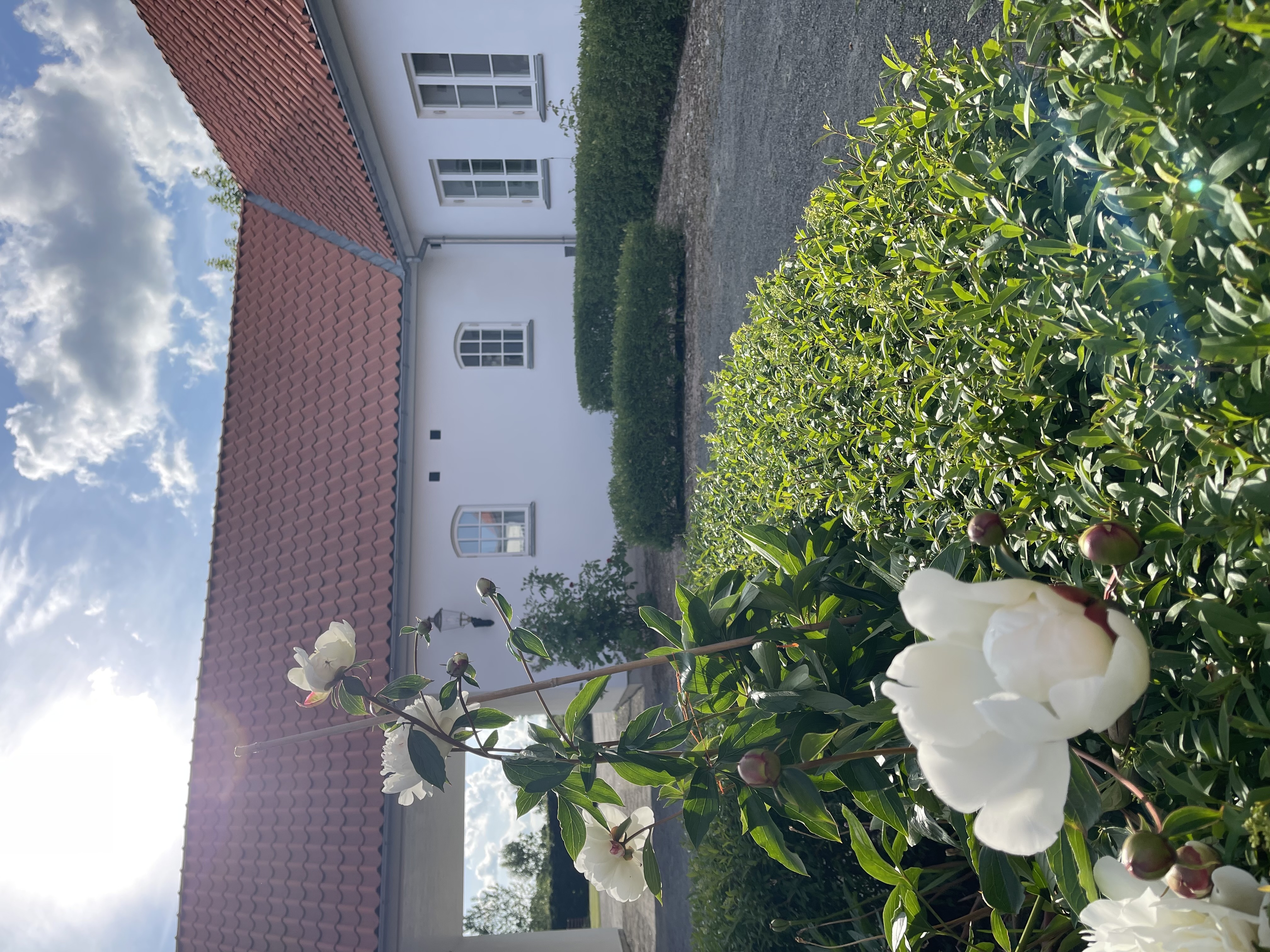 1 rok · 30 m² i Kivik – bild 13