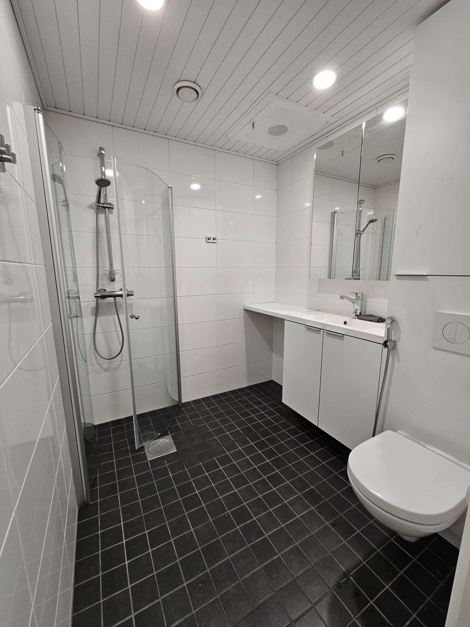 Valoisa 30 m² yksiö vuokrattavana 5
