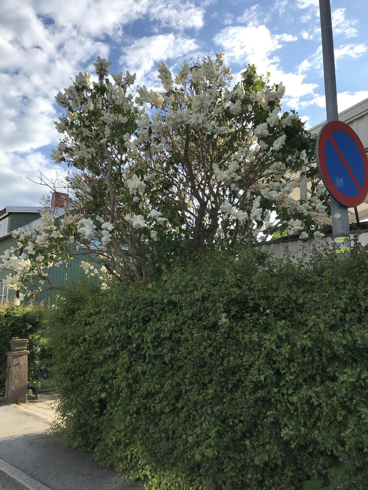 5 rok · 155 m² i Bromma – bild 15