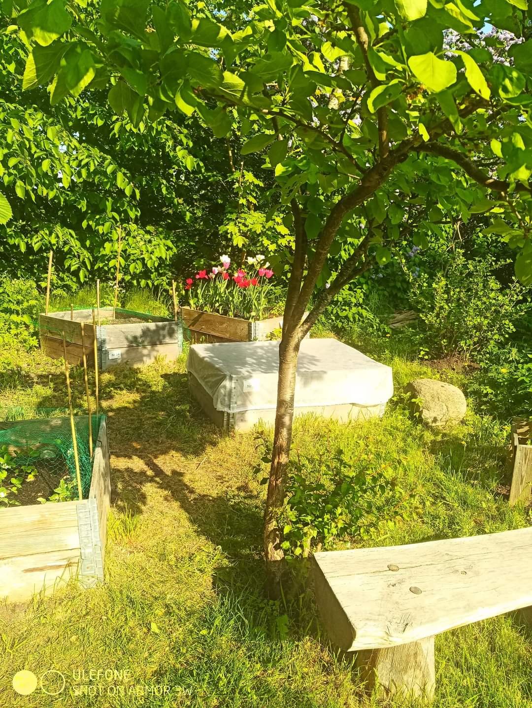 1 rok · 10 m² i Göteborg – bild 15