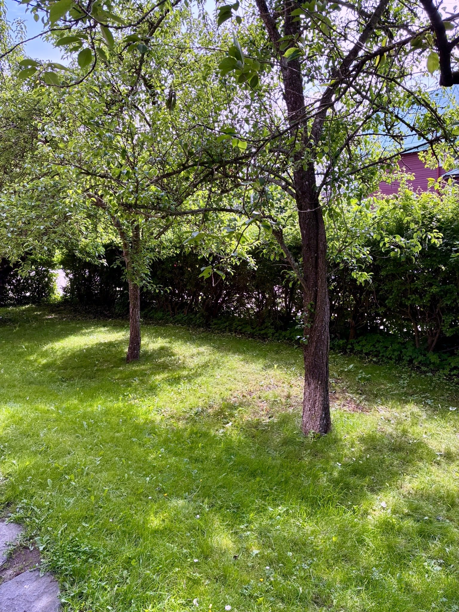 15 rok · 350 m² i Göteborg – bild 15