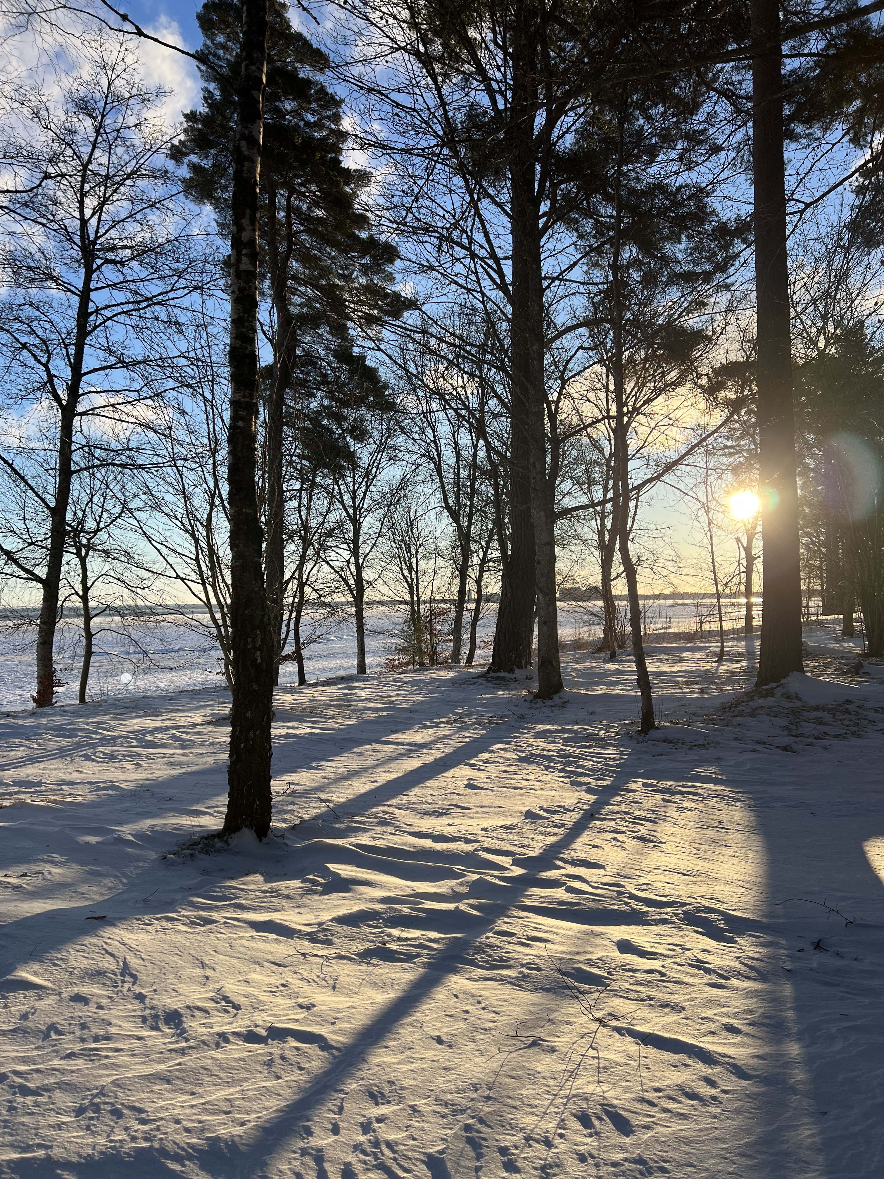 6 rok · 124 m² i Lidköping – bild 30