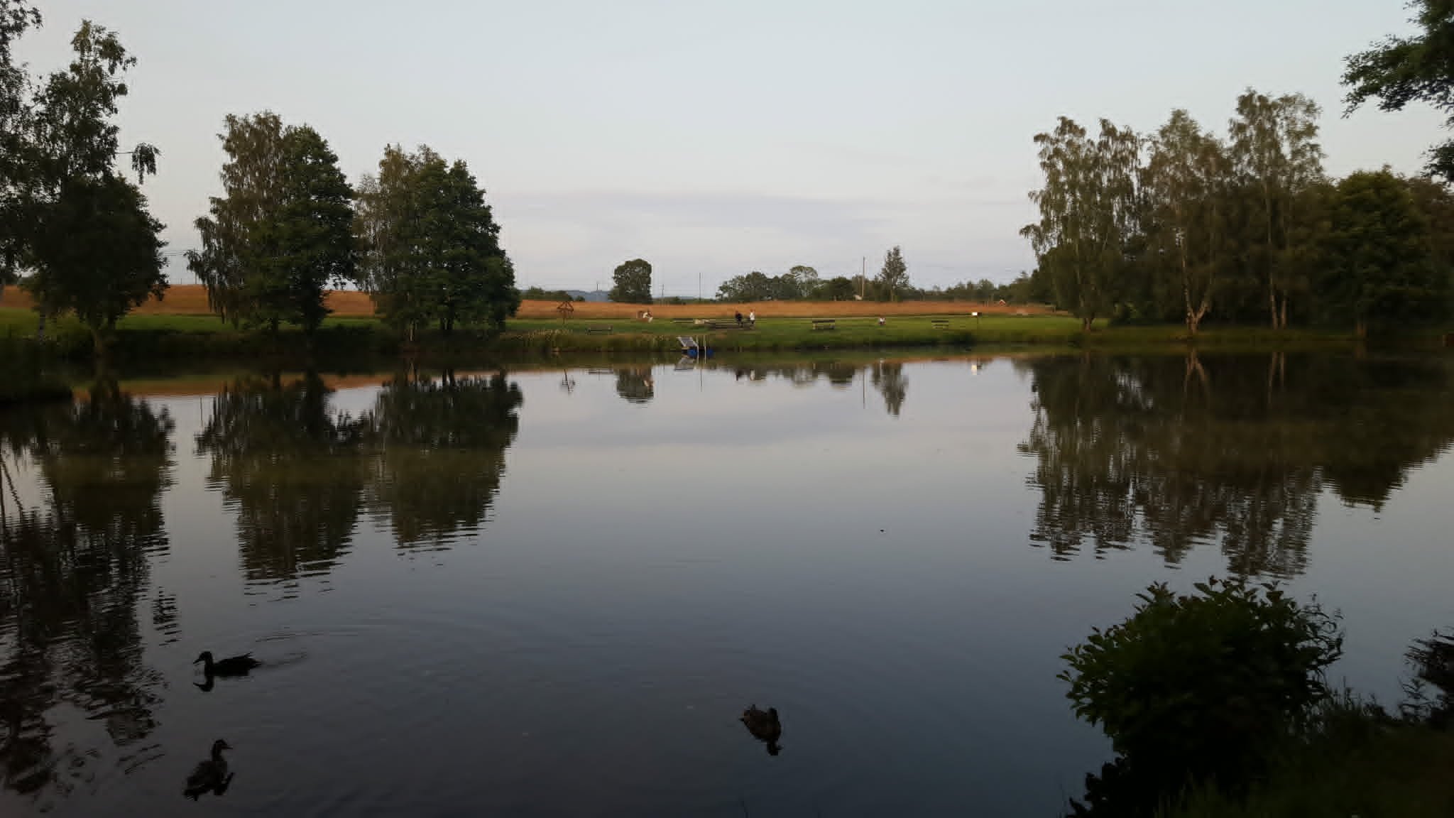 3 rok · 55 m² i Hjärnarp – bild 8
