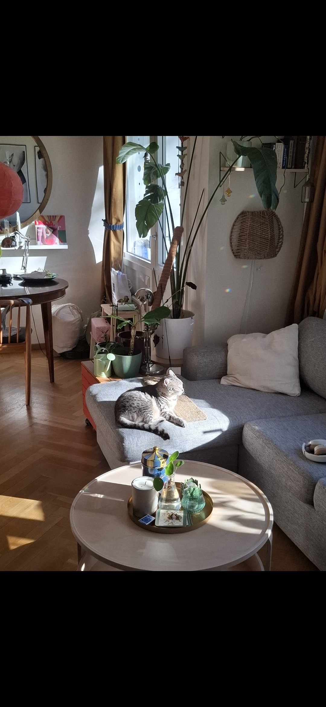 2 rok · 39 m² i Västra Frölunda – bild 12