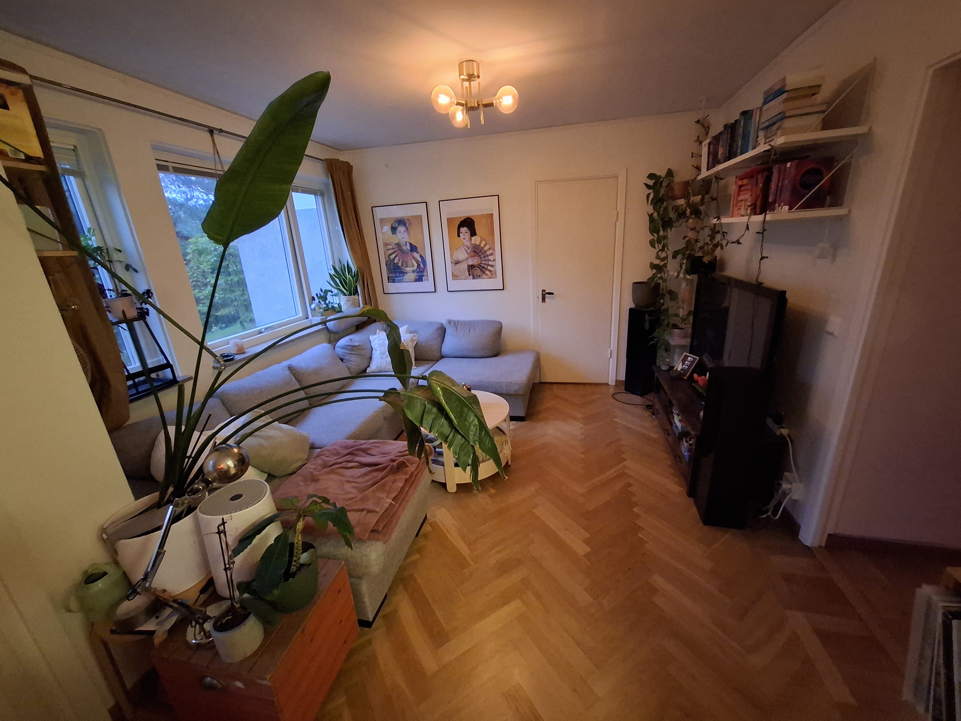 2 rok · 39 m² i Västra Frölunda – bild 2