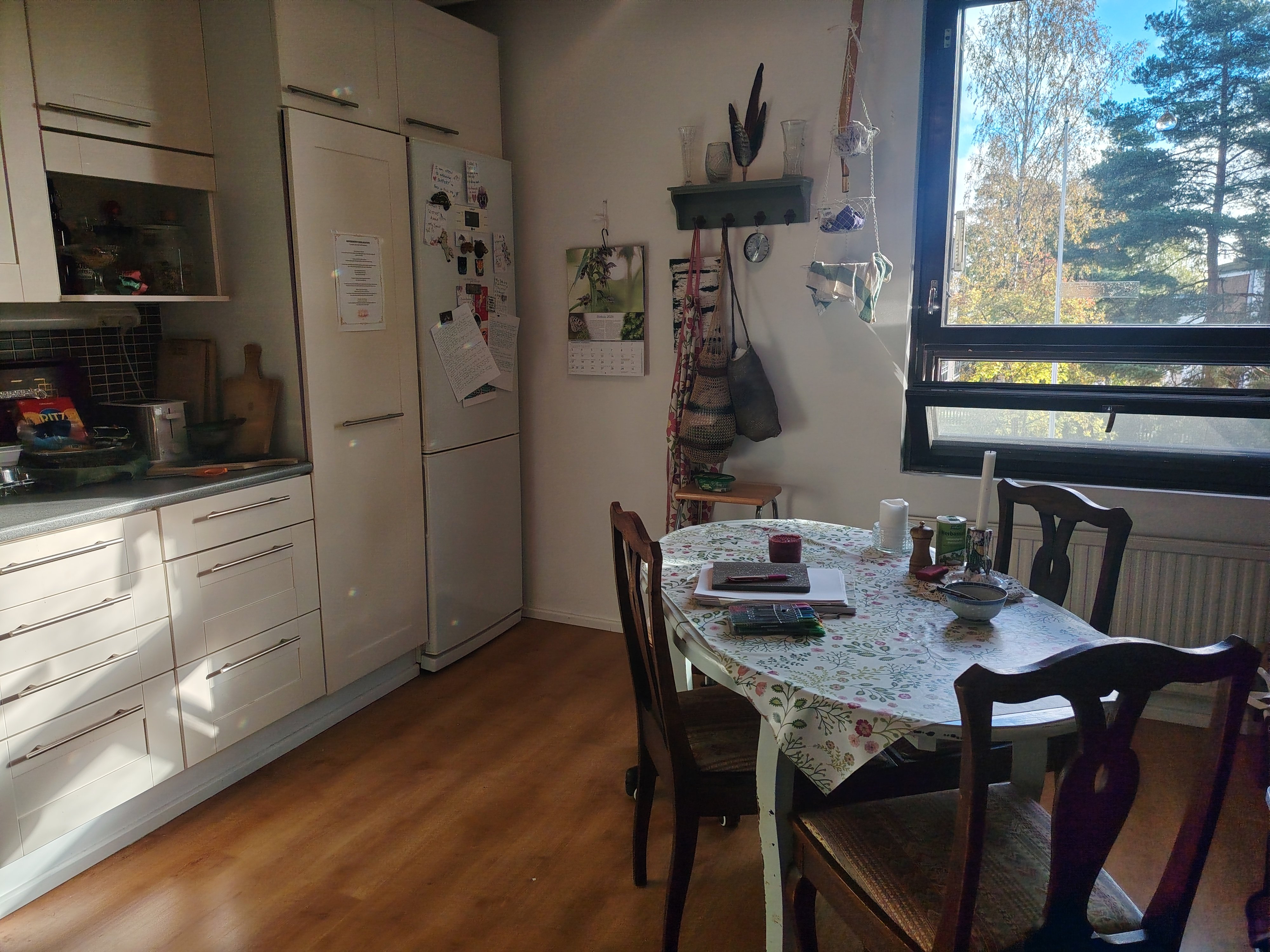 RAUHALLINEN KALUSTETTU ASUNTO LÄHELLÄ PALVELUJA JA LUONTOA 3