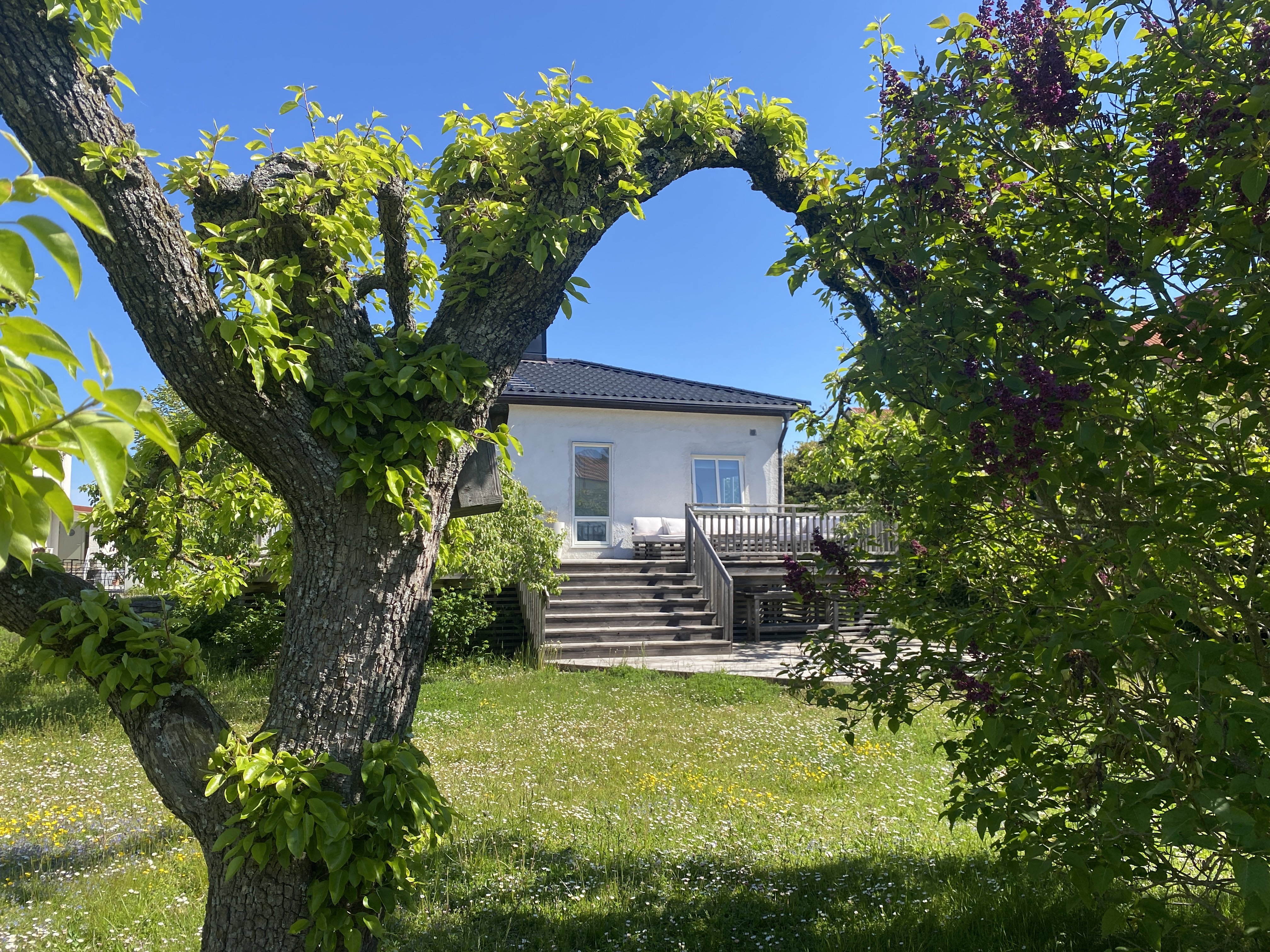 6 rok · 140 m² i Visby – bild 2
