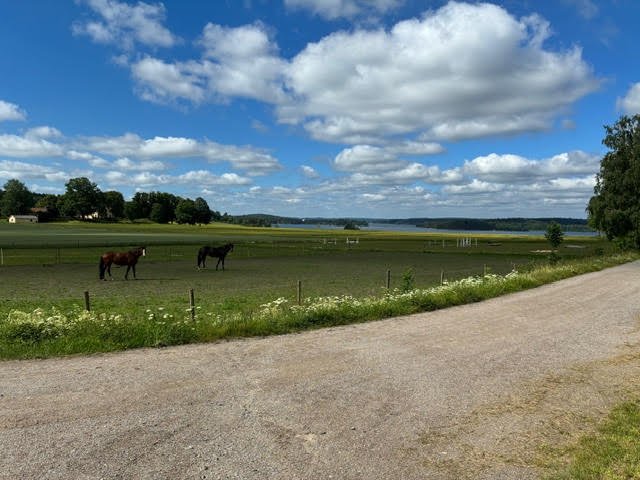 3 rok · 72 m² i Grödinge – bild 22