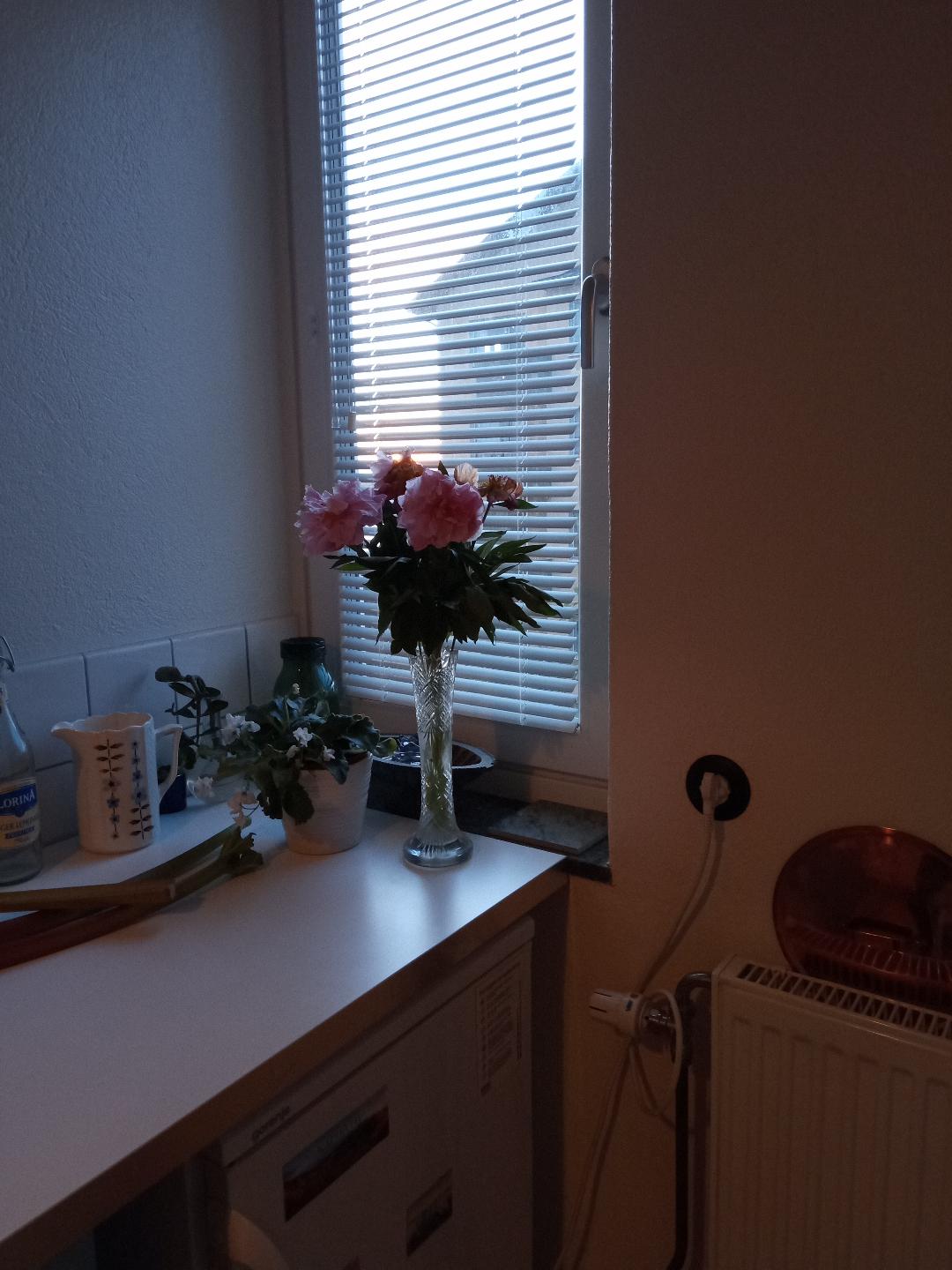 1 rok · 20 m² i Hägersten – bild 7