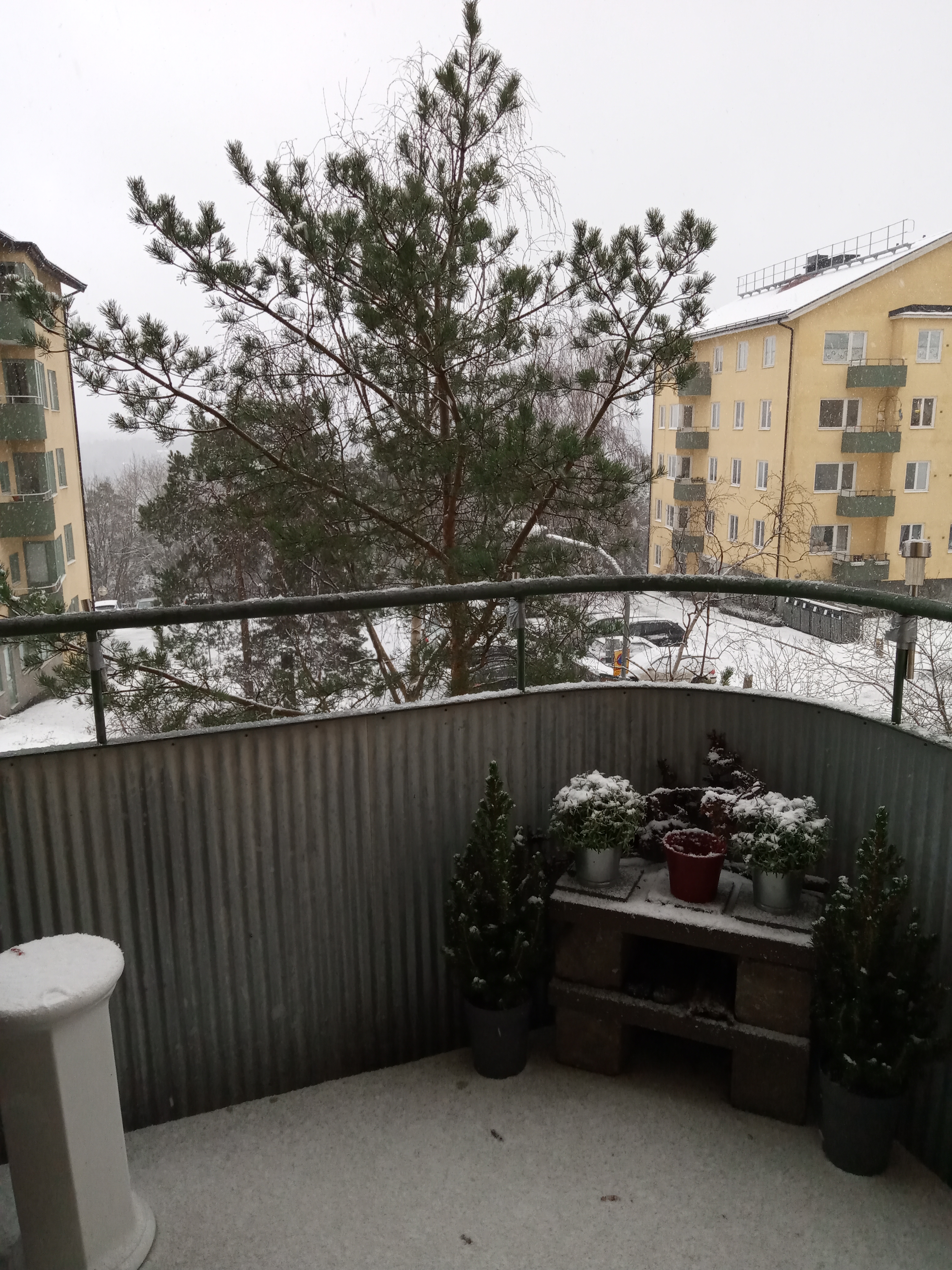 1 rok · 20 m² i Hägersten – bild 5