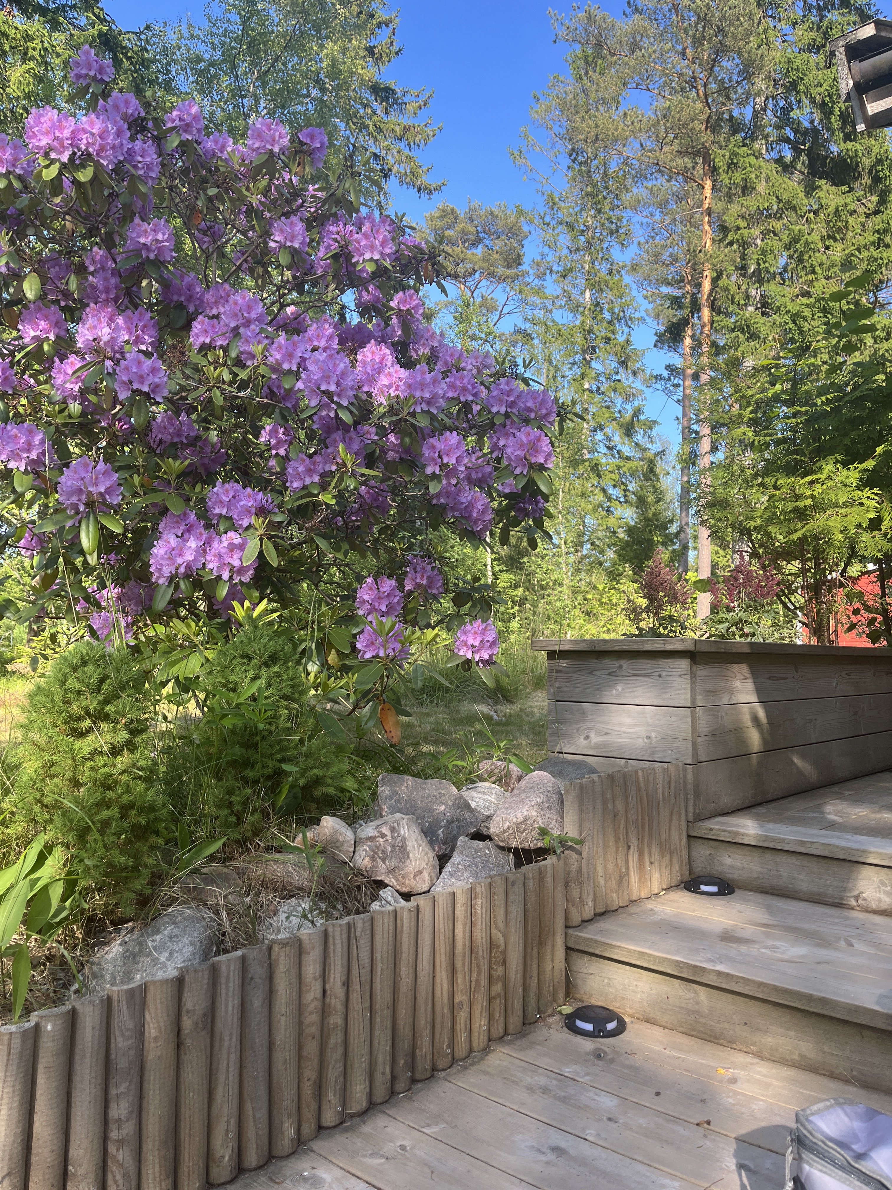 5 rok · 98 m² i Gräddö – bild 15