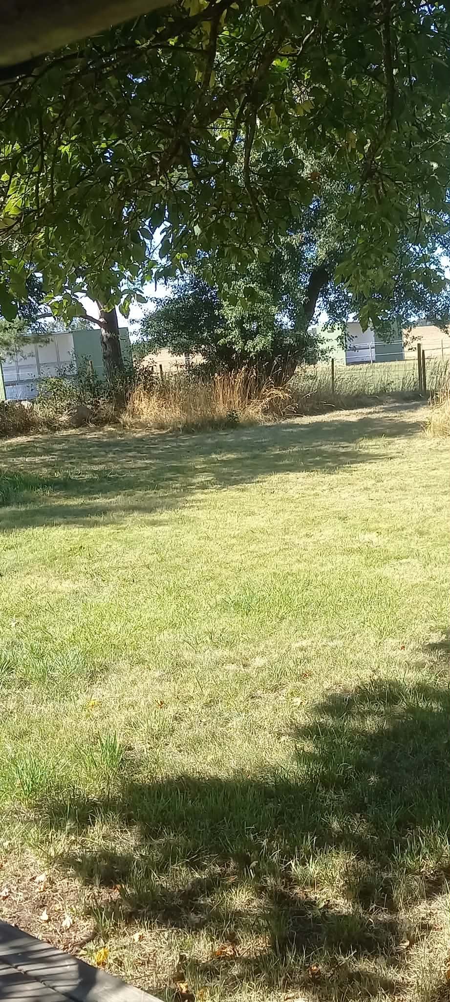 5 rok · 220 m² i Hörby – bild 31