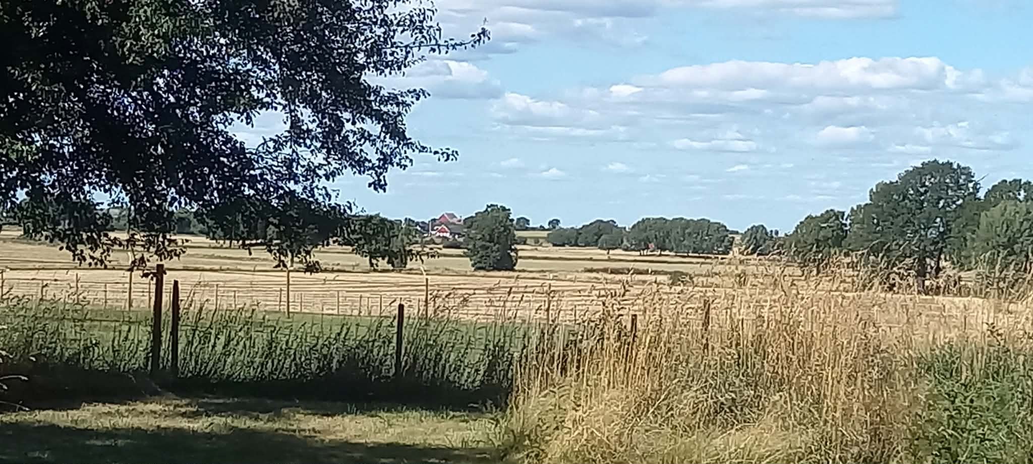 5 rok · 220 m² i Hörby – bild 33