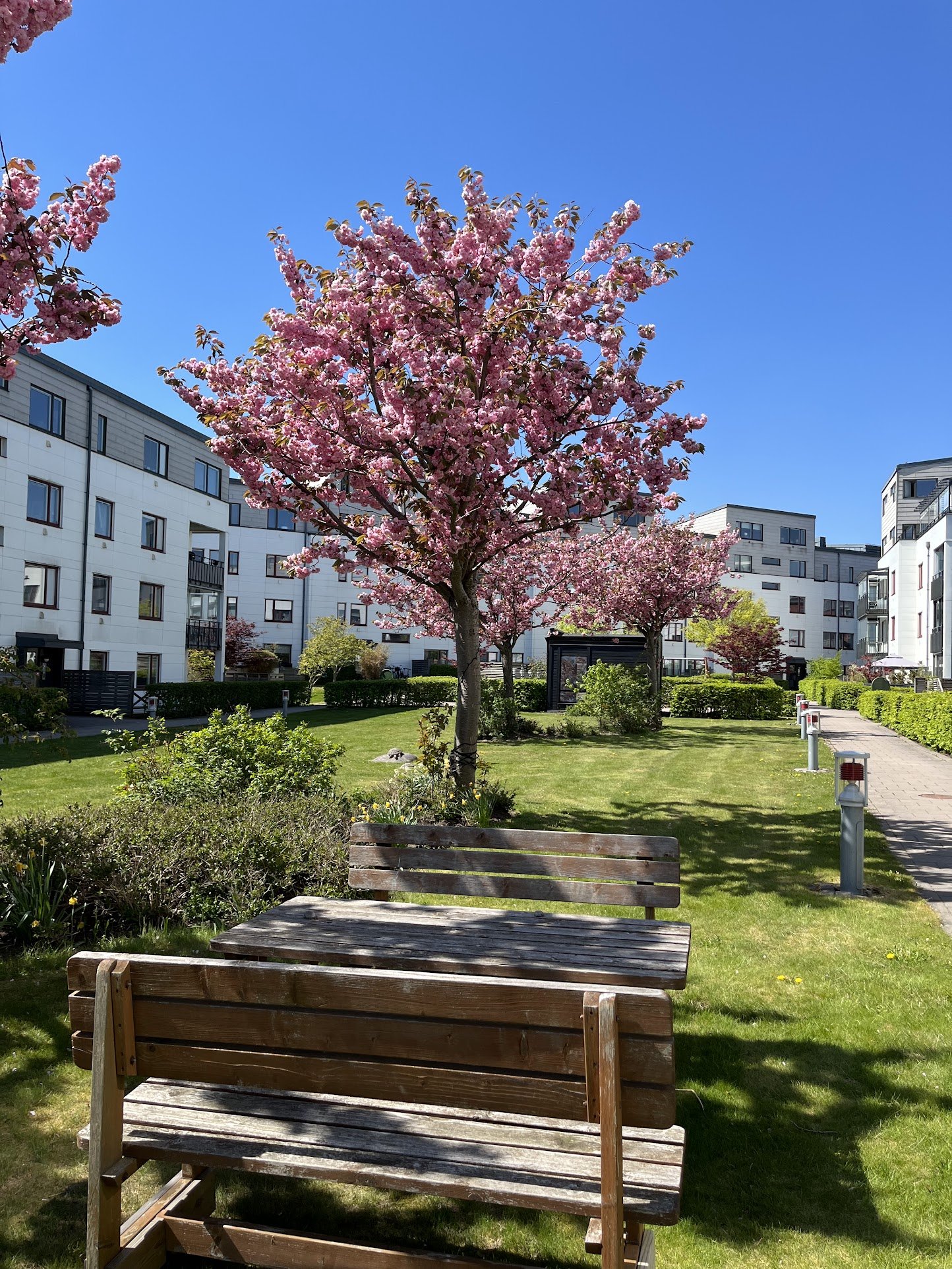 2 rok · 55 m² i Göteborg – bild 11