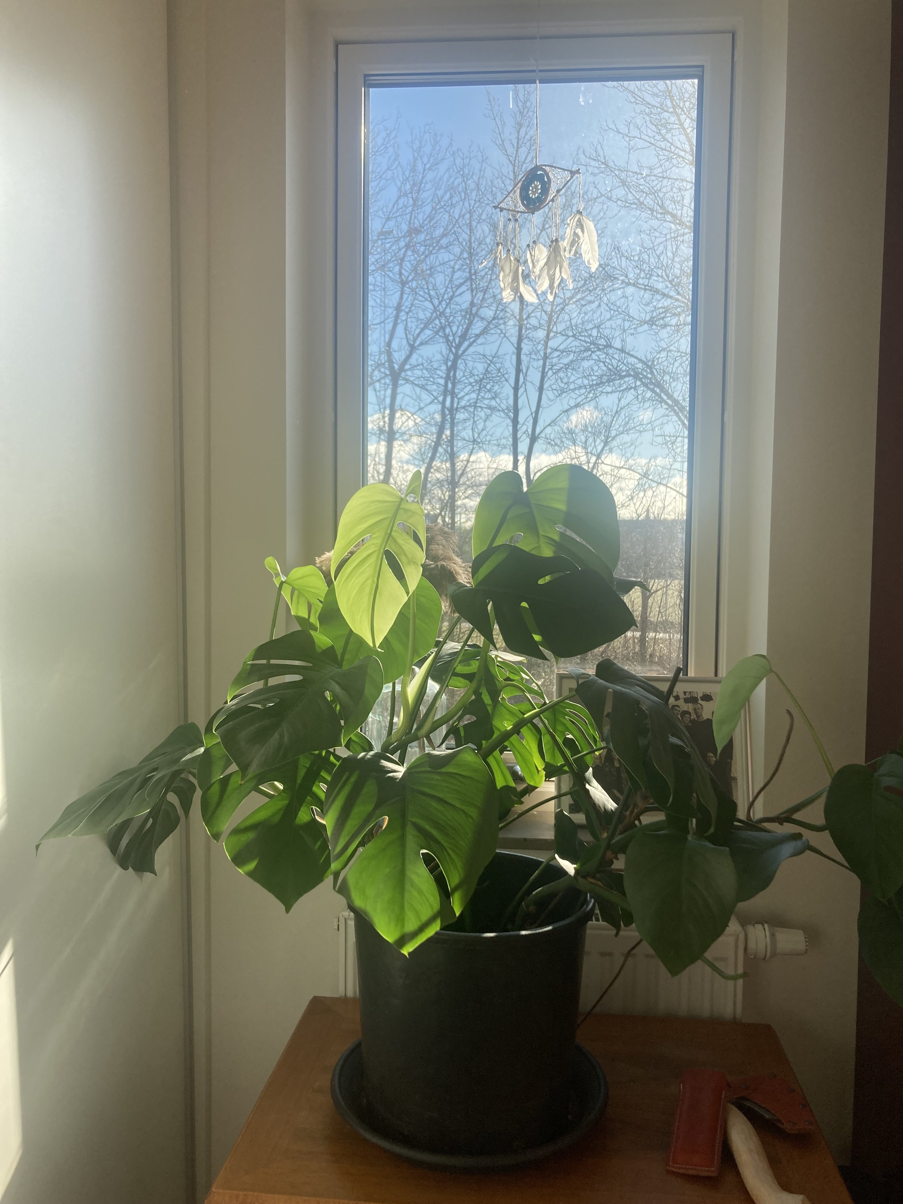2 rok · 55 m² i Malmö – bild 14