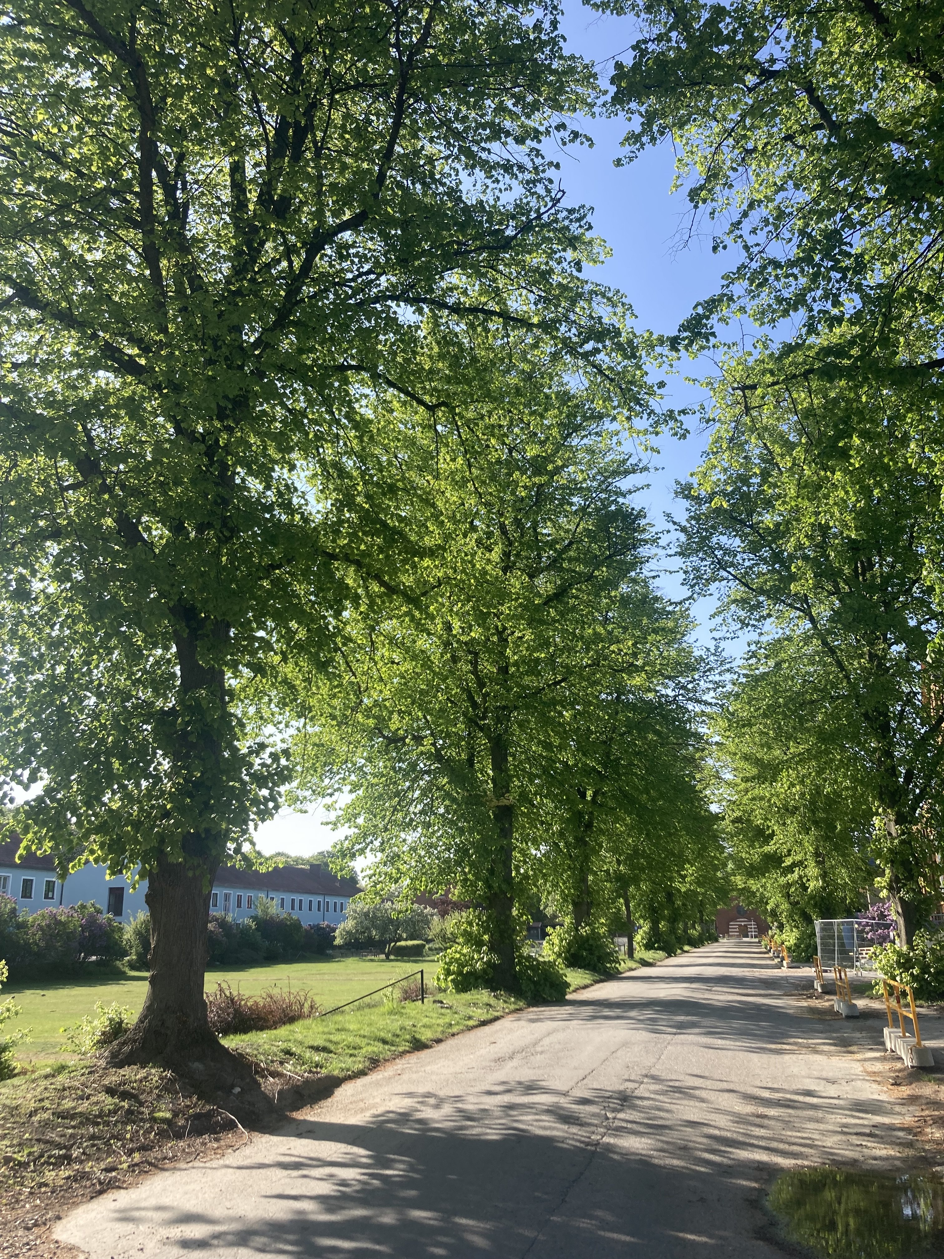 2 rok · 55 m² i Malmö – bild 15