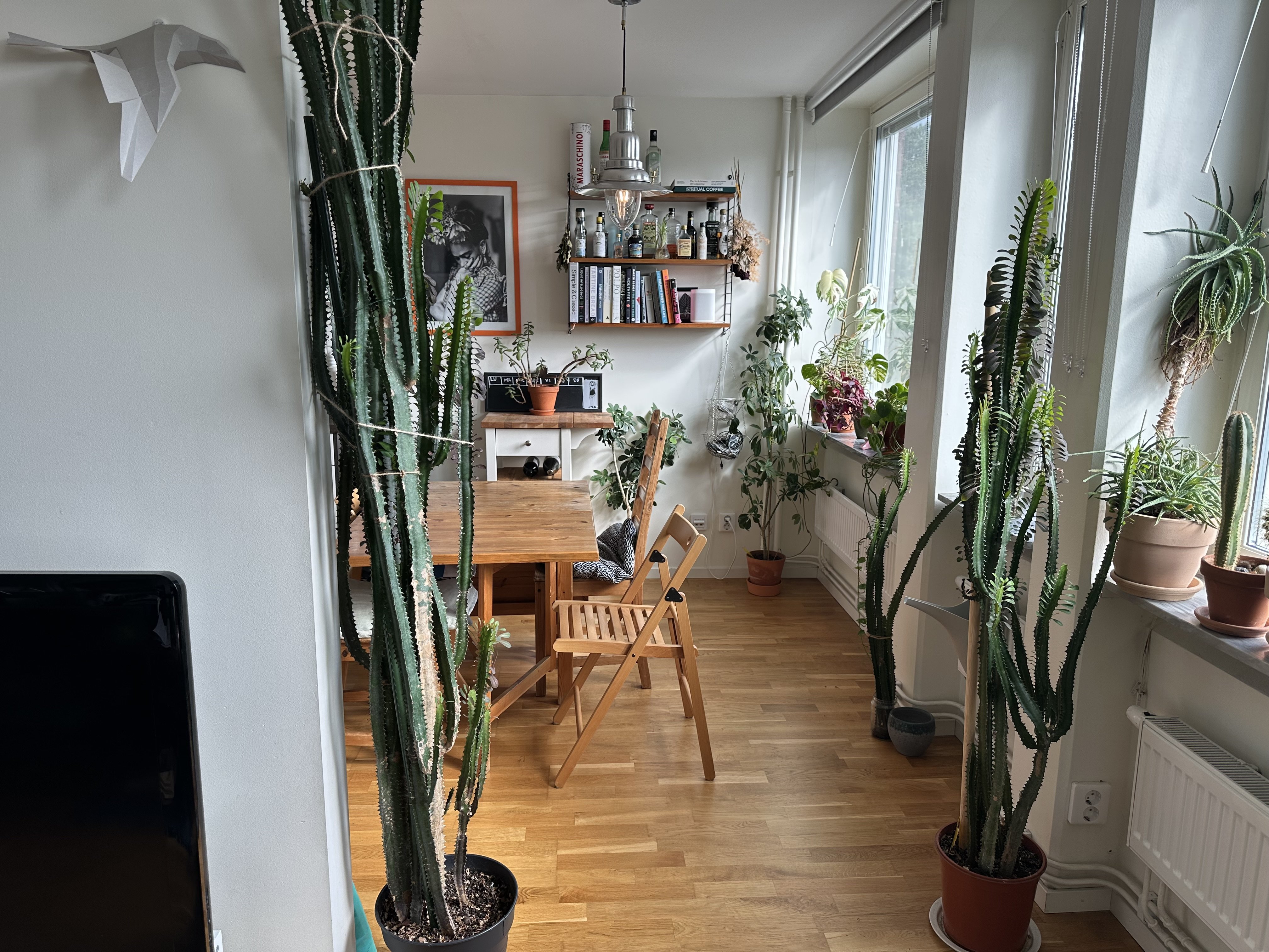 2 rok · 55 m² i Göteborg – bild 4