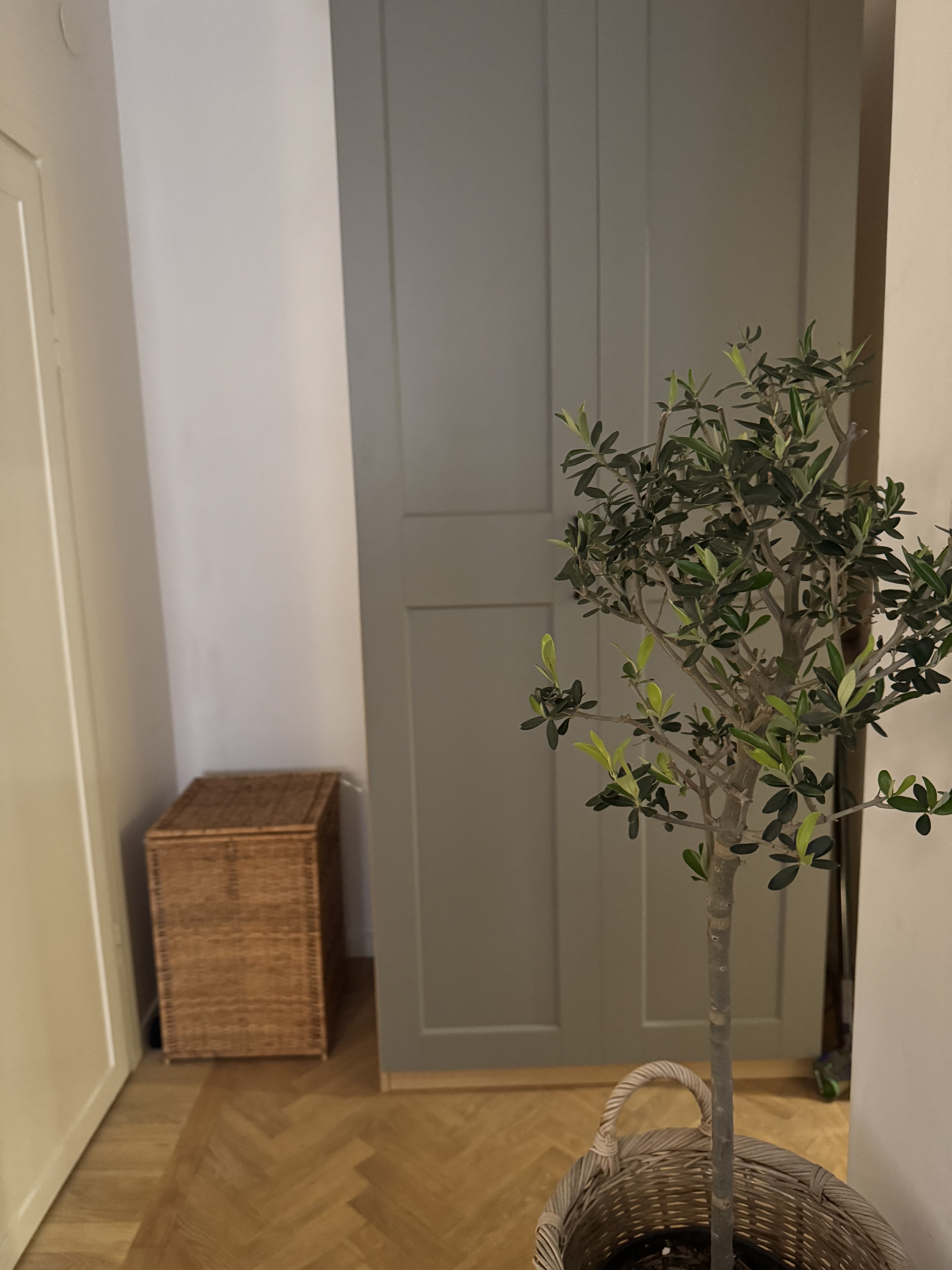 2 rok · 40 m² i Stockholm – bild 11