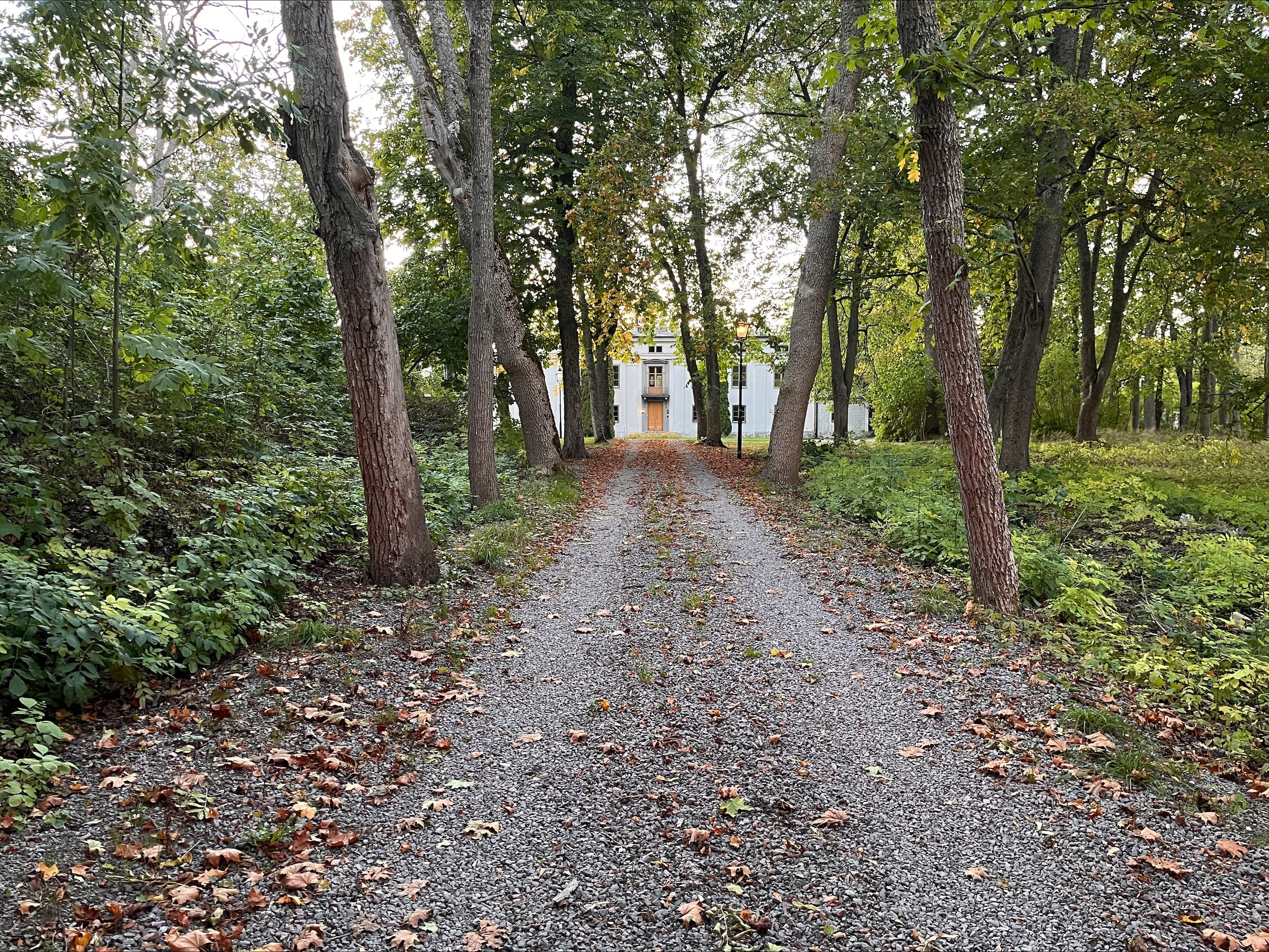 10 rok · 300 m² i Skärblacka – bild 12