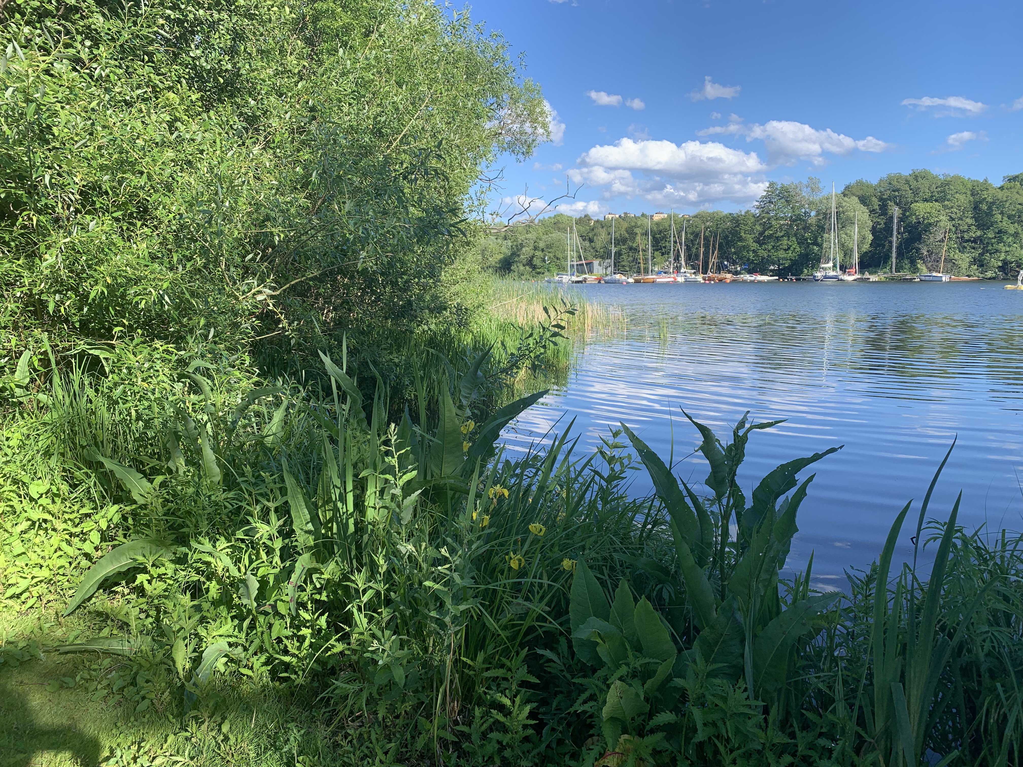 3 rok · 22 m² i Bromma – bild 9