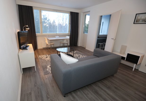 Furnished Studio -apartment with balcony 3