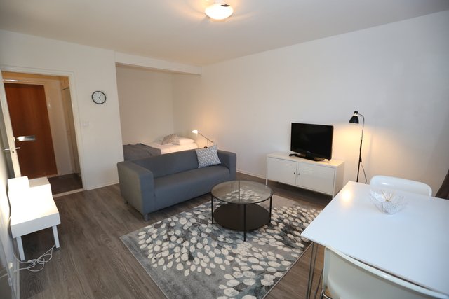 Furnished Studio -apartment with balcony 2