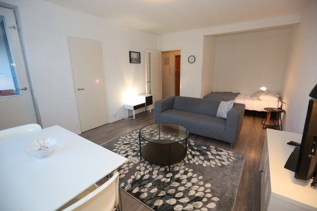Furnished Studio -apartment with balcony 1