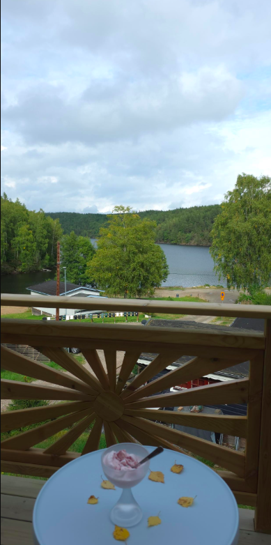 2 rok · 30 m² i Göta – bild 12