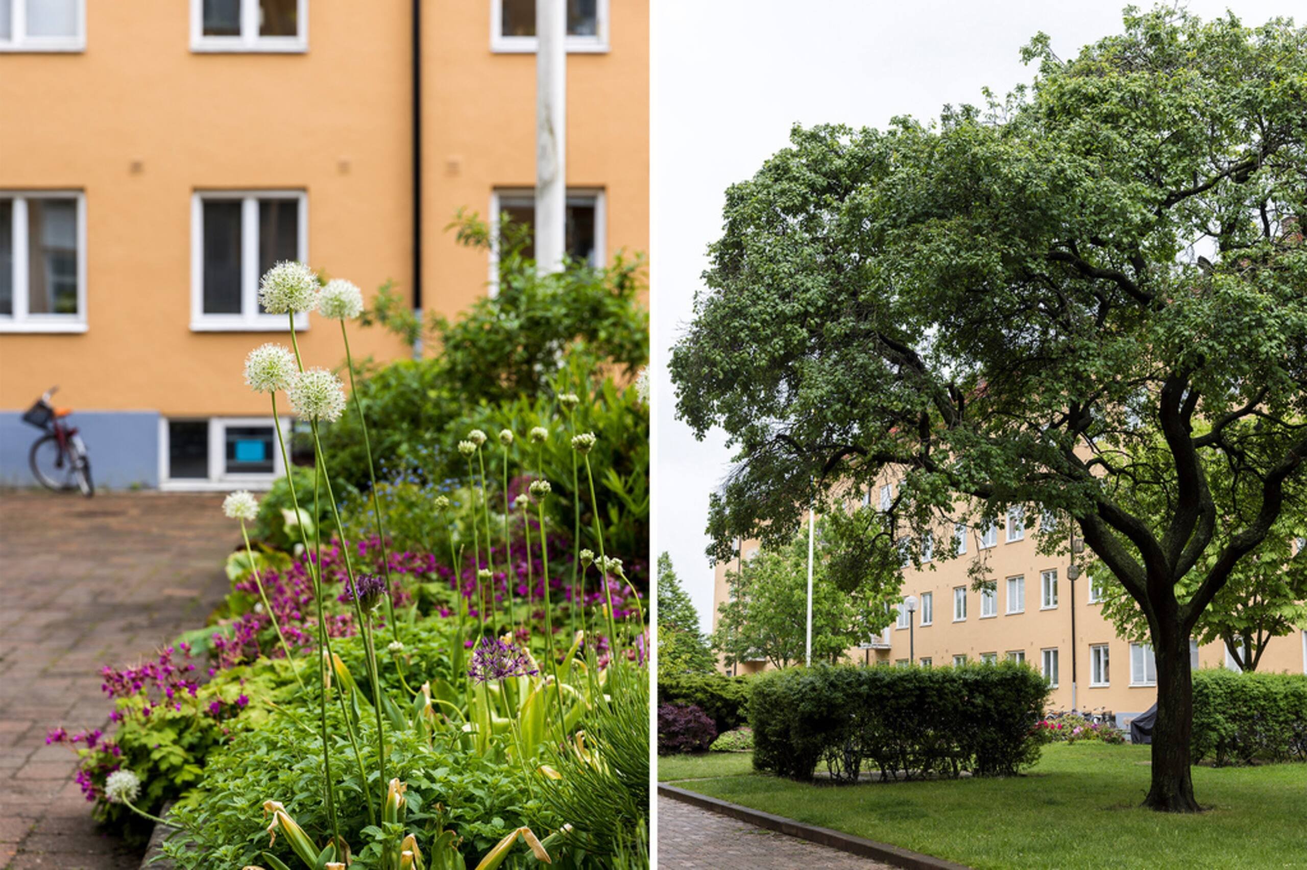 2 rok · 55 m² i Malmö – bild 10