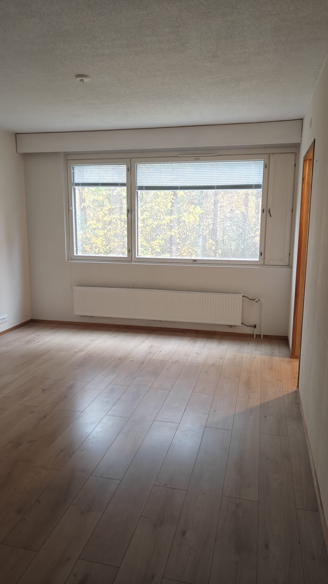 Hieno yksiö heti vapaana Paimiossa! 4
