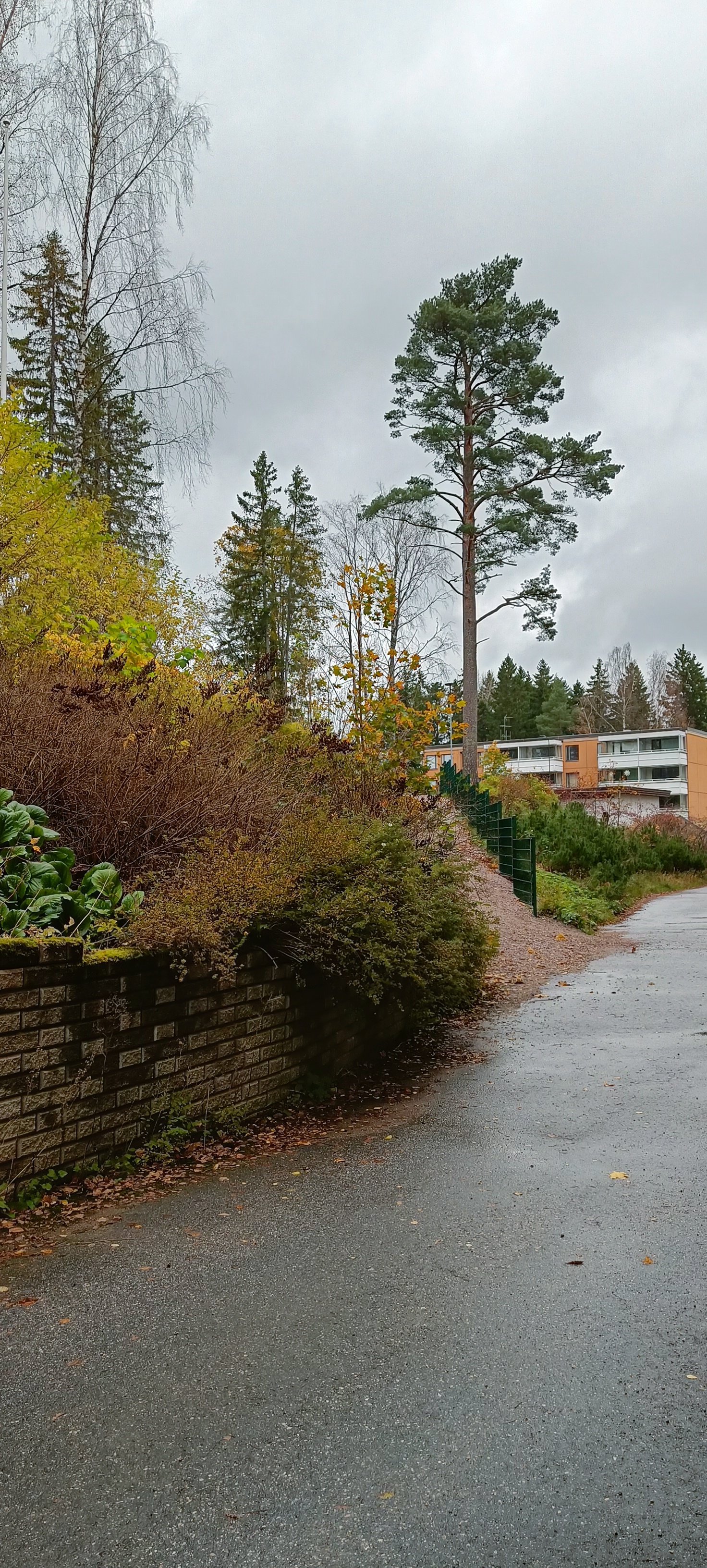 Gesterbyn keskeisellä paikalla hissitalossa puiston laidassa avara kaksio 4
