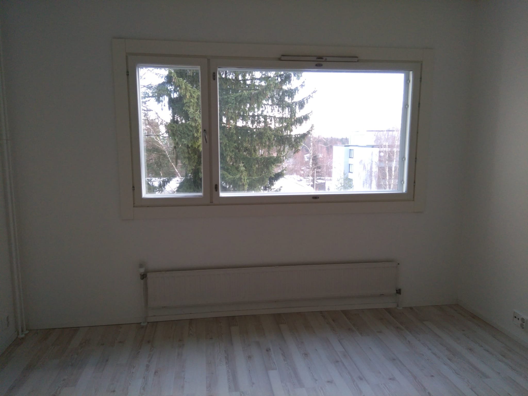 Valoisa yksiö Saviolla 1