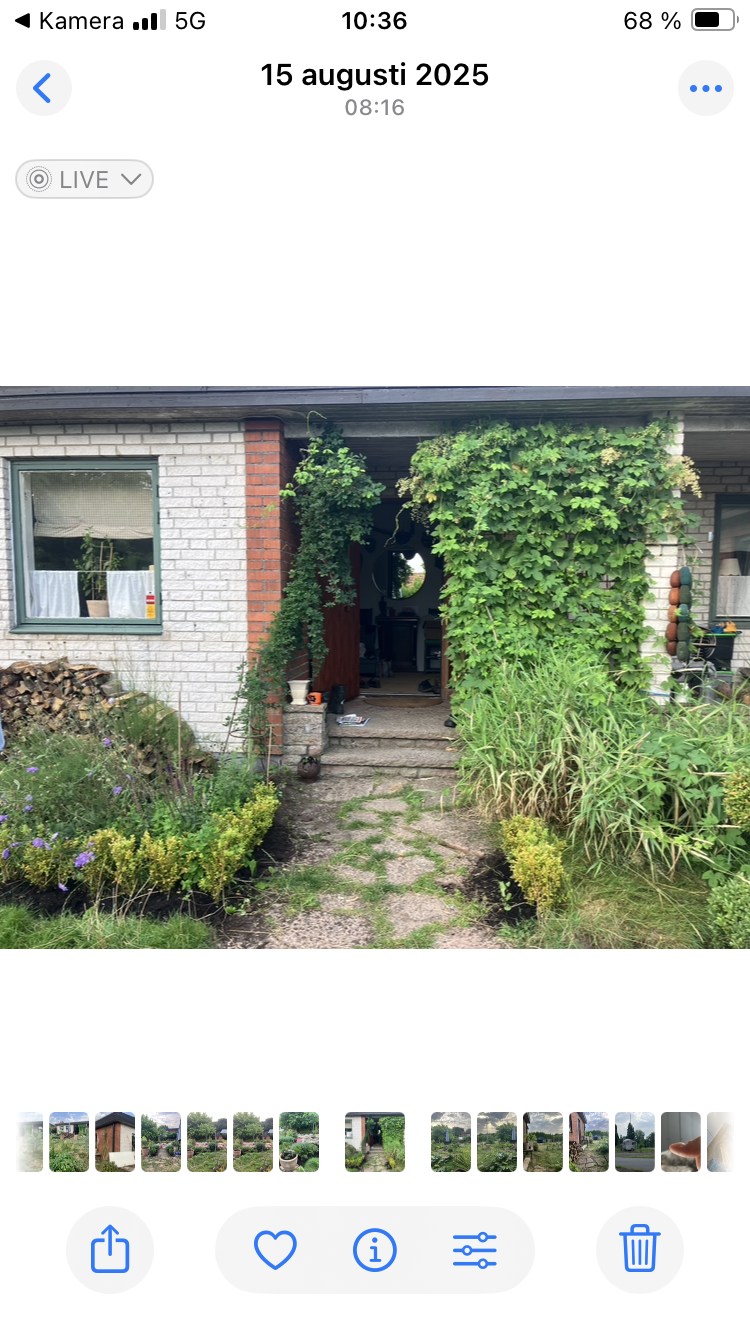 6 rok · 124 m² i Vitaby