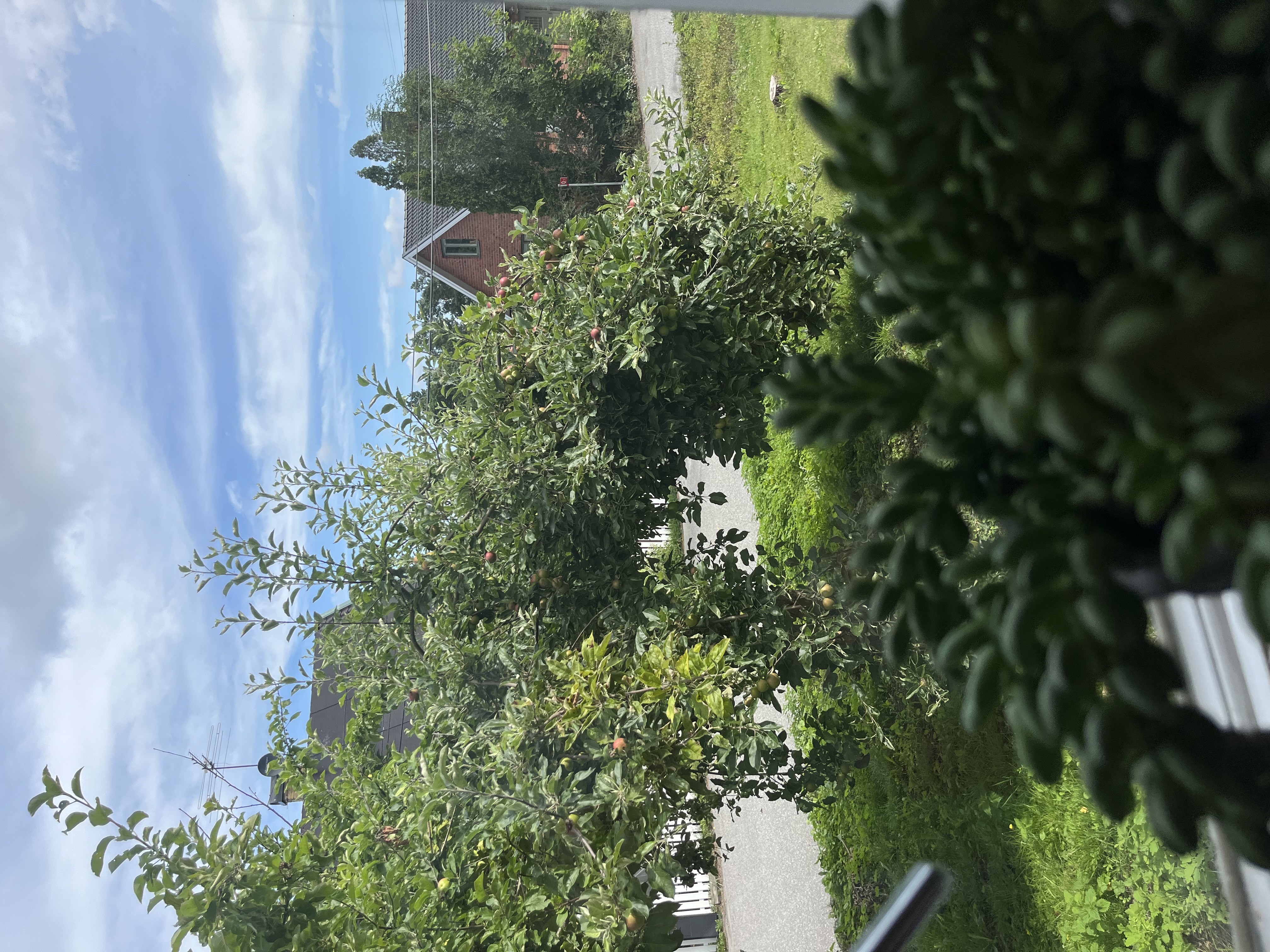 2 rok · 55 m² i Lidingö – bild 7