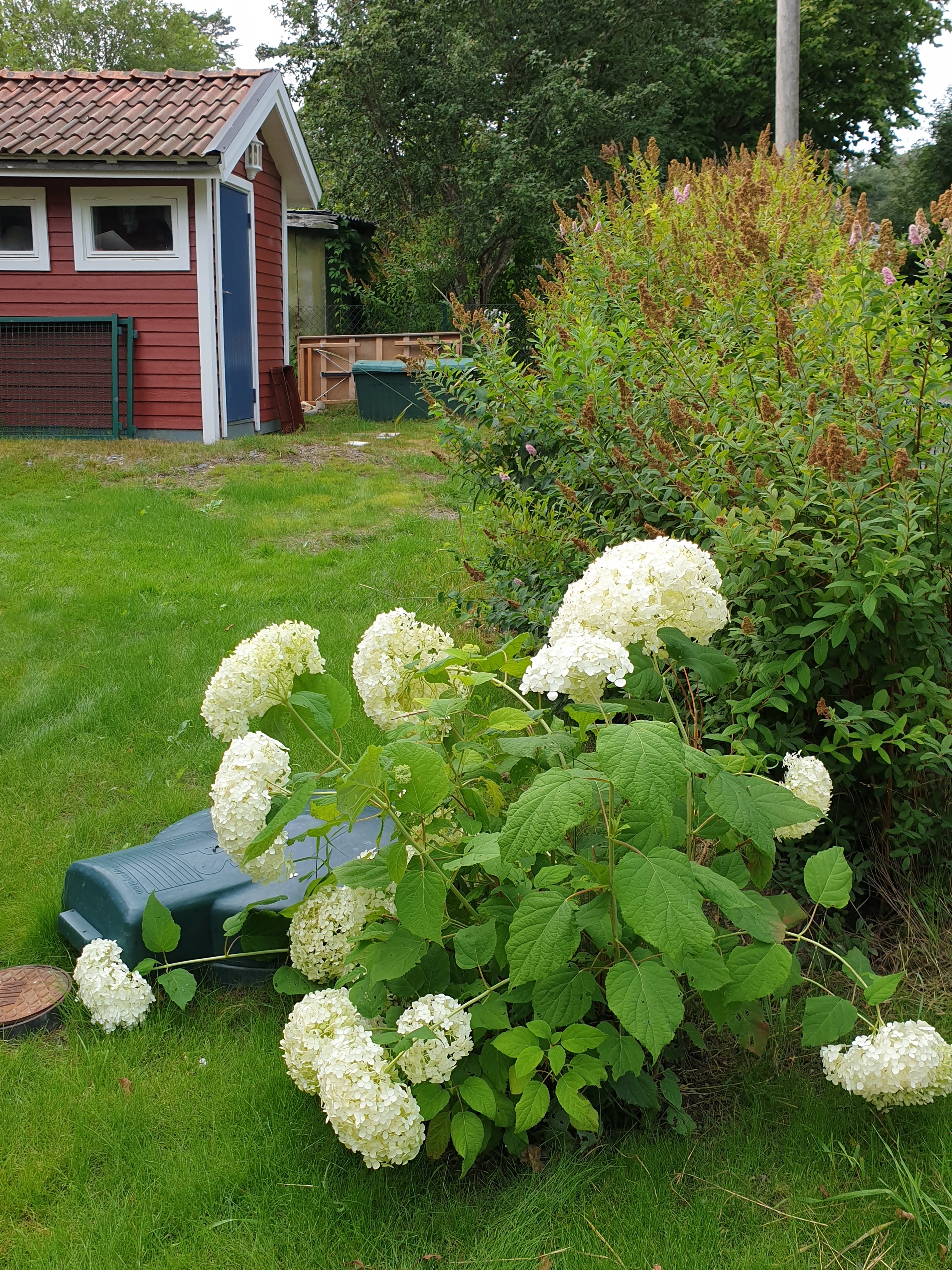 4 rok · 70 m² i Haninge – bild 24