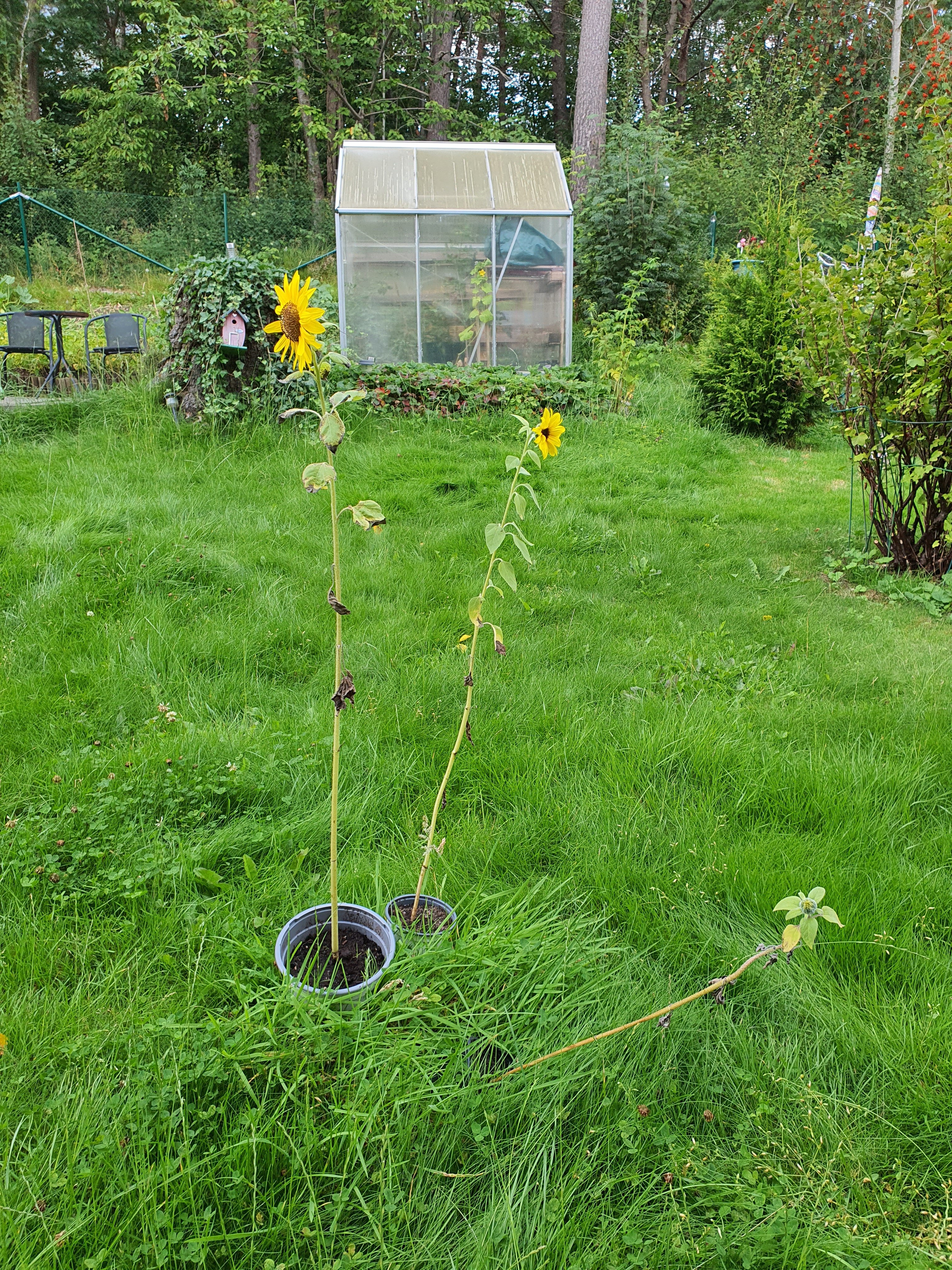 4 rok · 82 m² i Göteborg – bild 8
