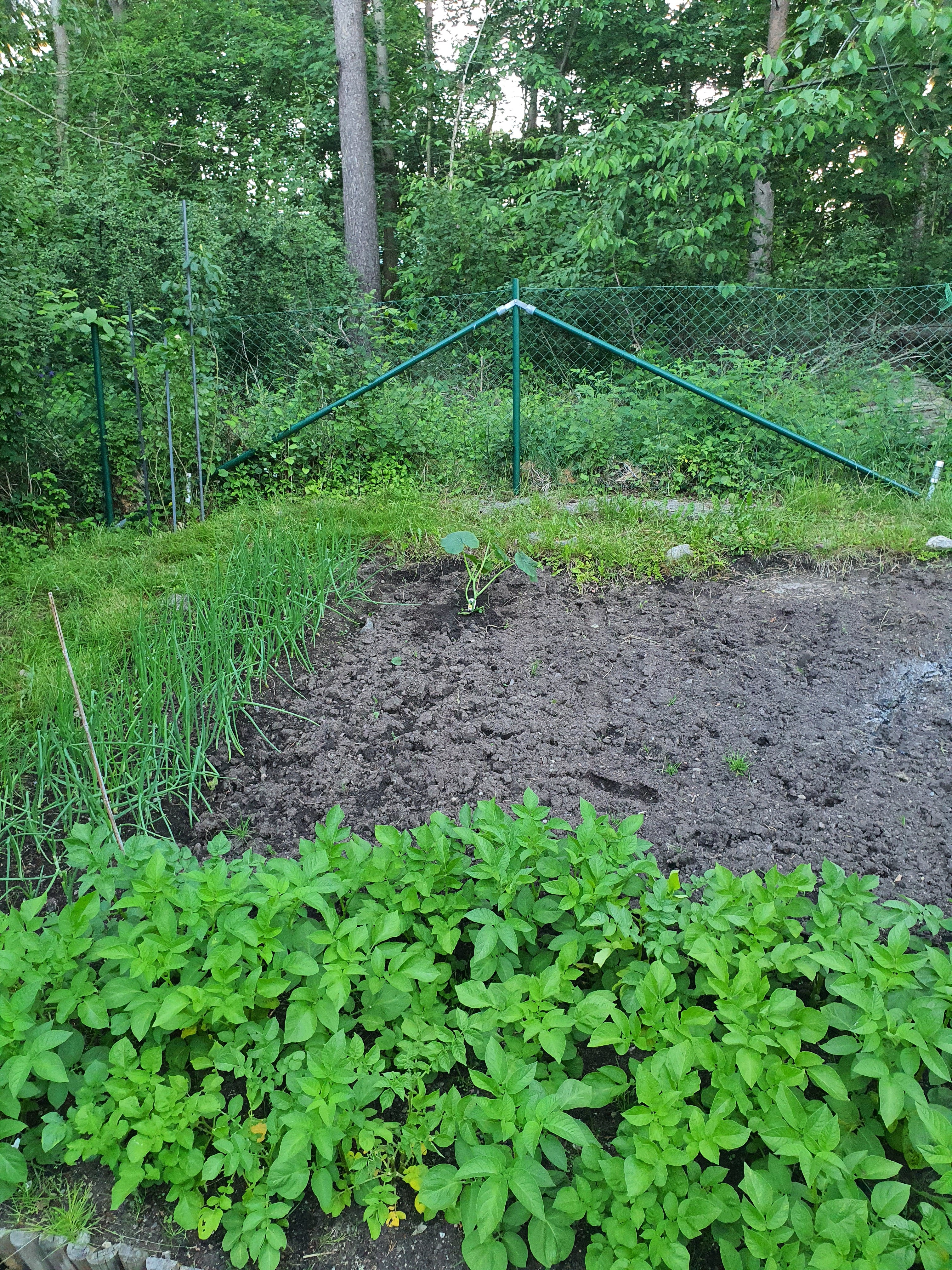 4 rok · 82 m² i Göteborg – bild 2