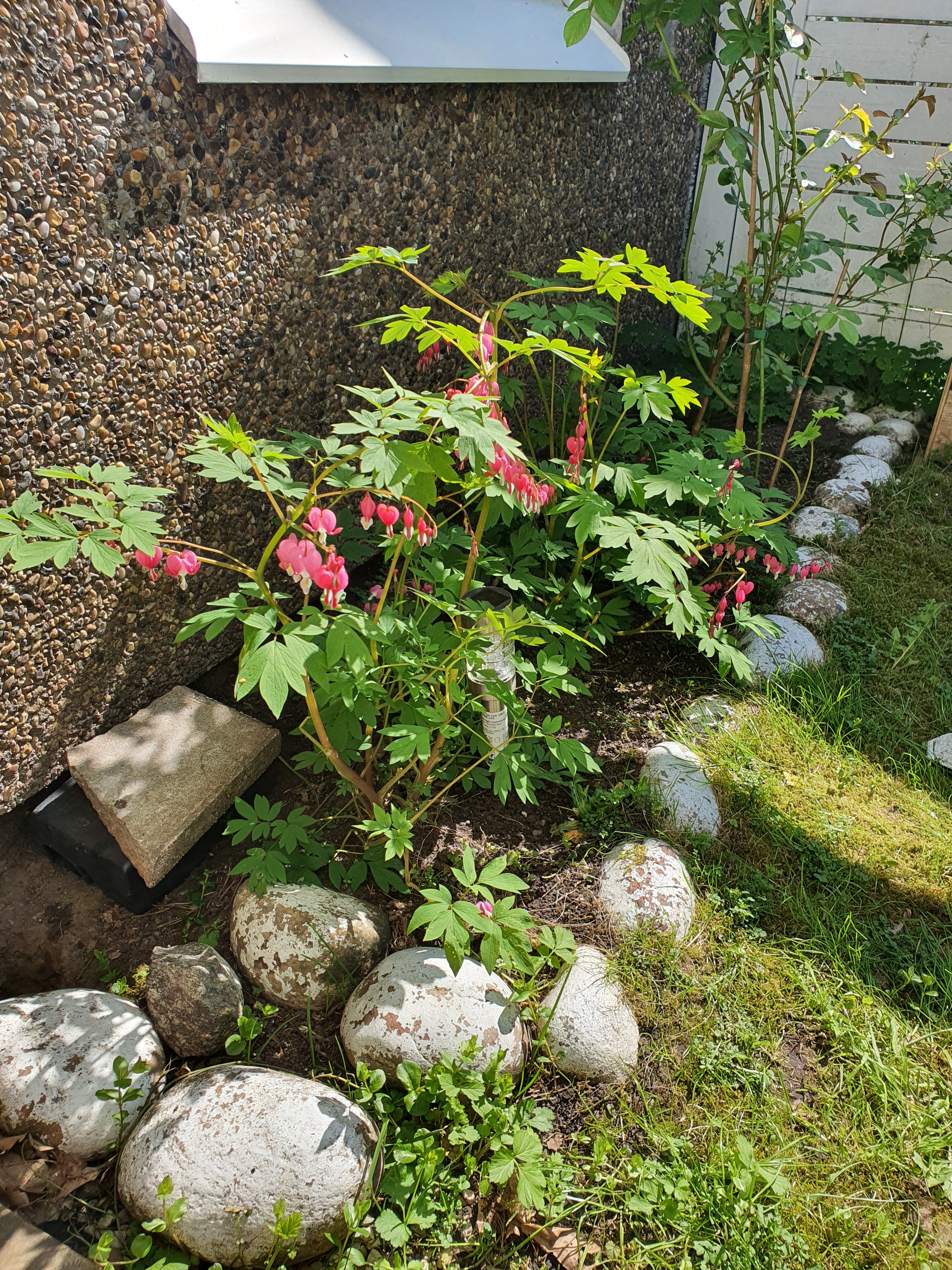 4 rok · 82 m² i Göteborg – bild 7