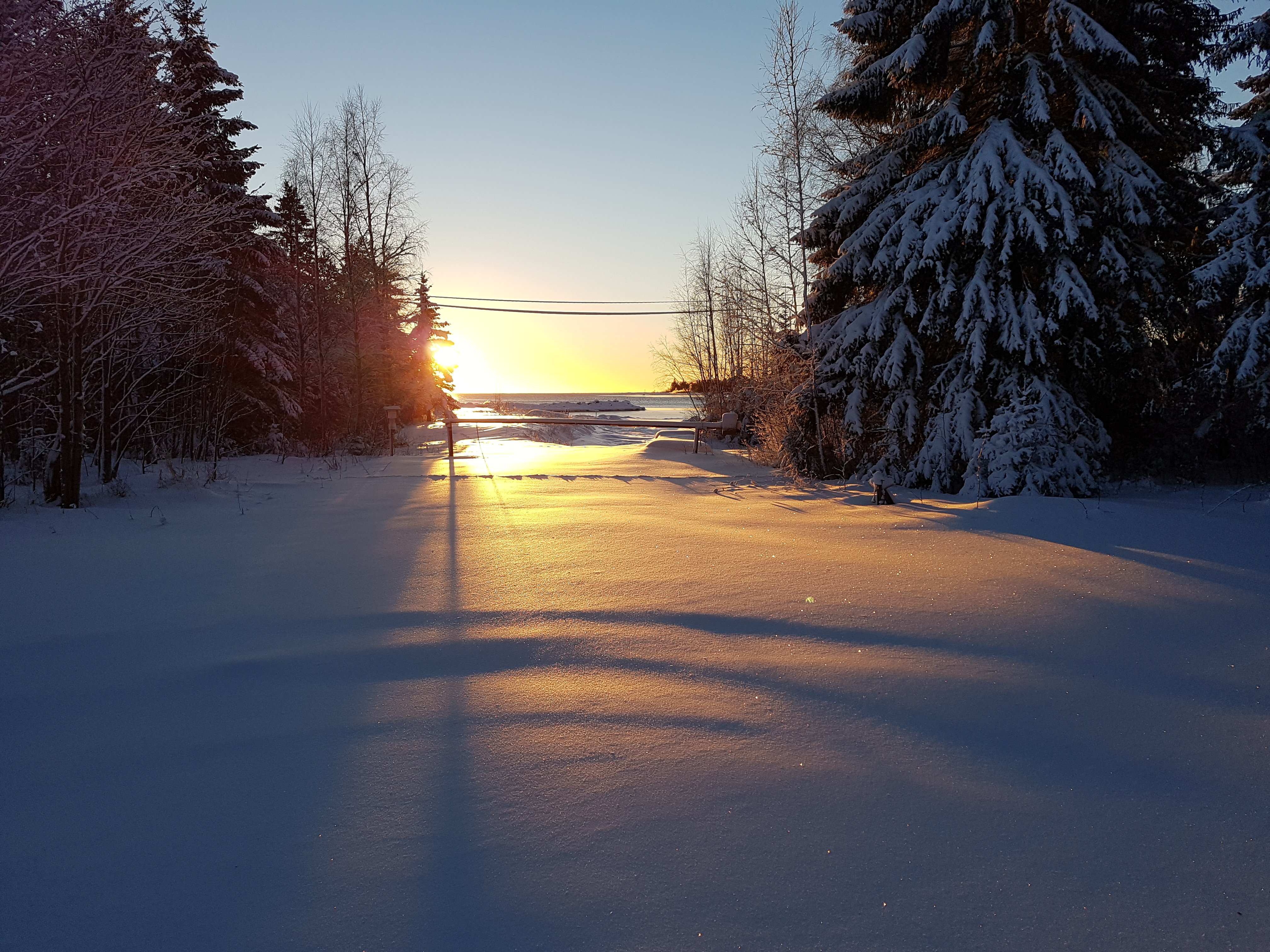 2 rok · 25 m² i Umeå – bild 7