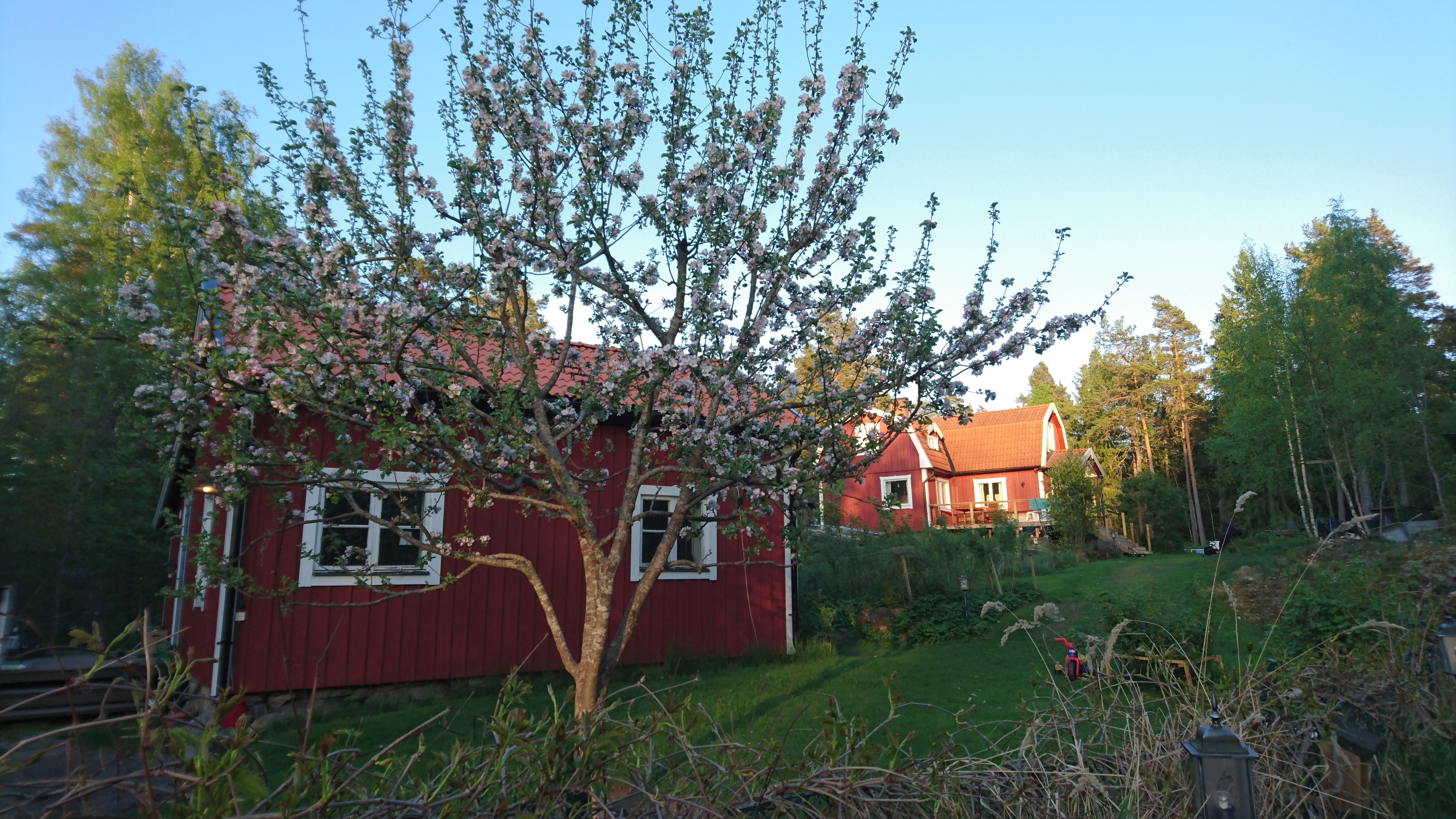 Stuga, 2 rooms, 40 sqm, Ingarö