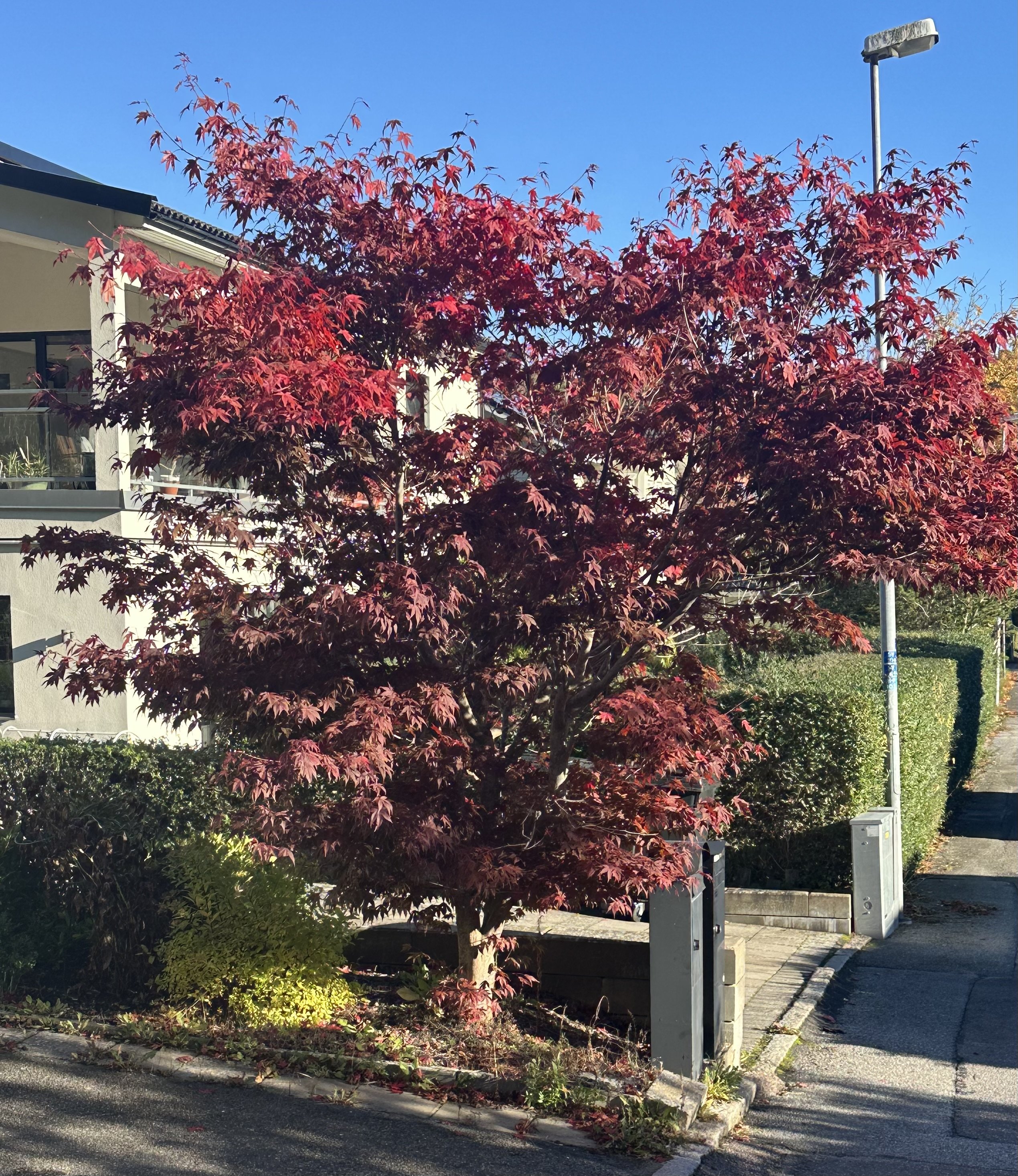 4 rok · 130 m² i Mölndal – bild 32
