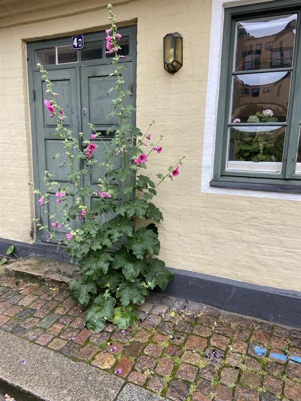 4 rok · 120 m² i Lund